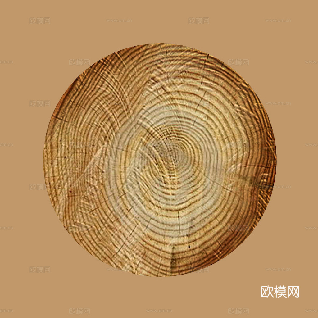 树木 年轮 木桩 树干木头 残旧木纹 木材 木柴 木柴 树根下载