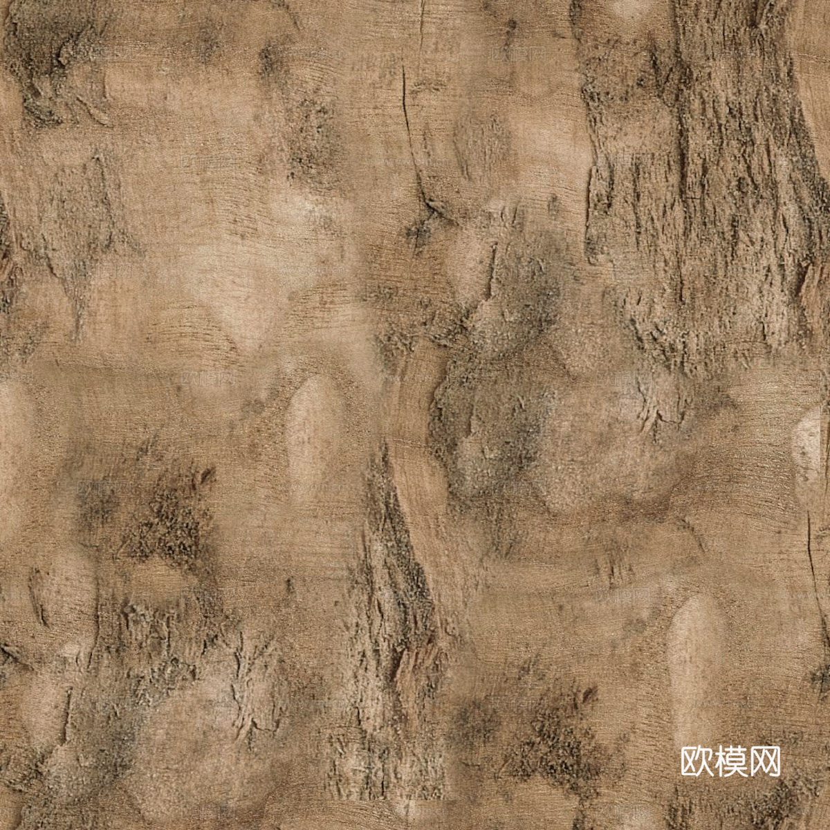 树皮 树干 木头 残旧木纹 木材 木柴 树枝