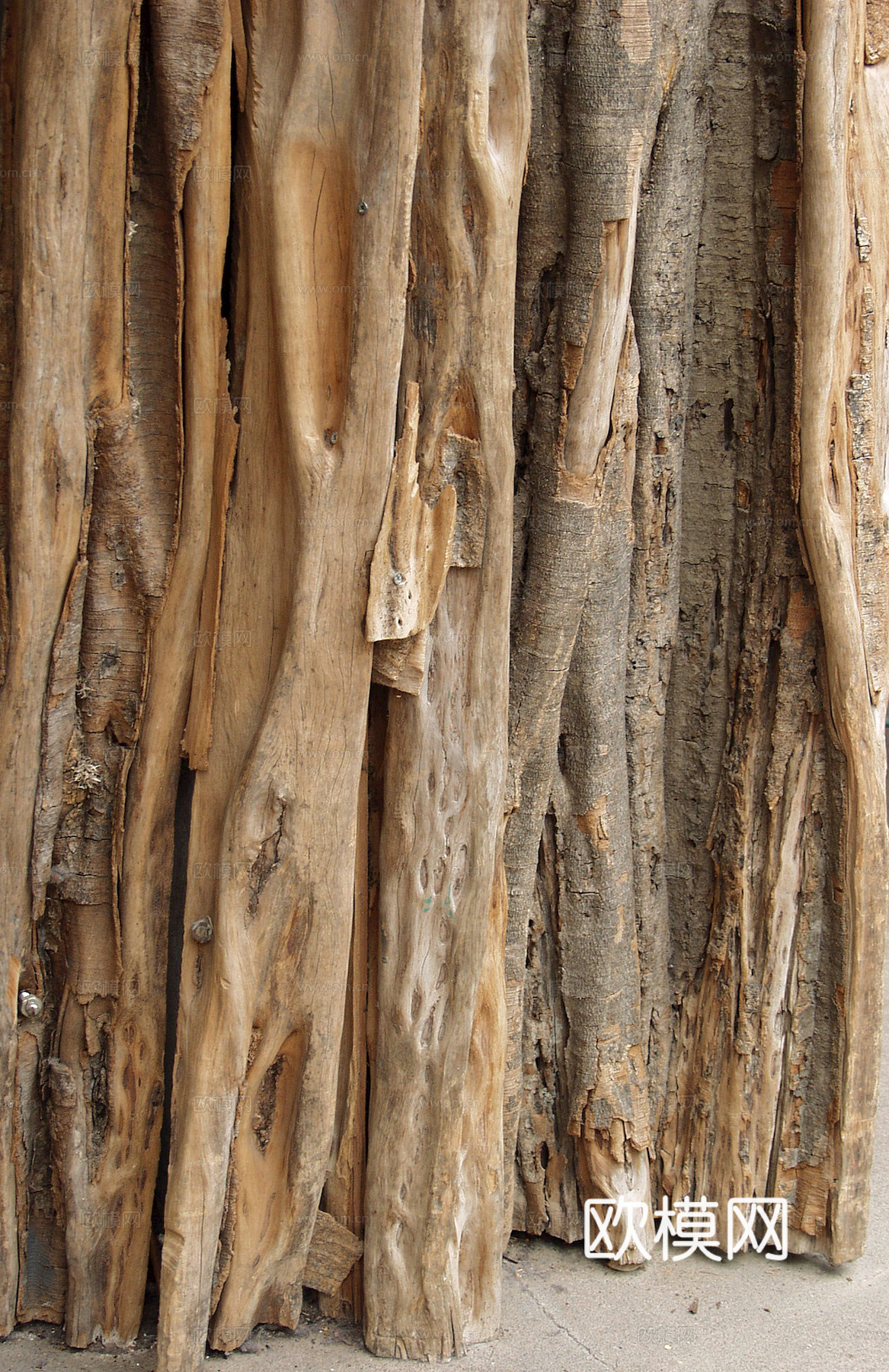 树皮 树干 木头 残旧木纹 木材 木柴 树枝 木柴 树根下载