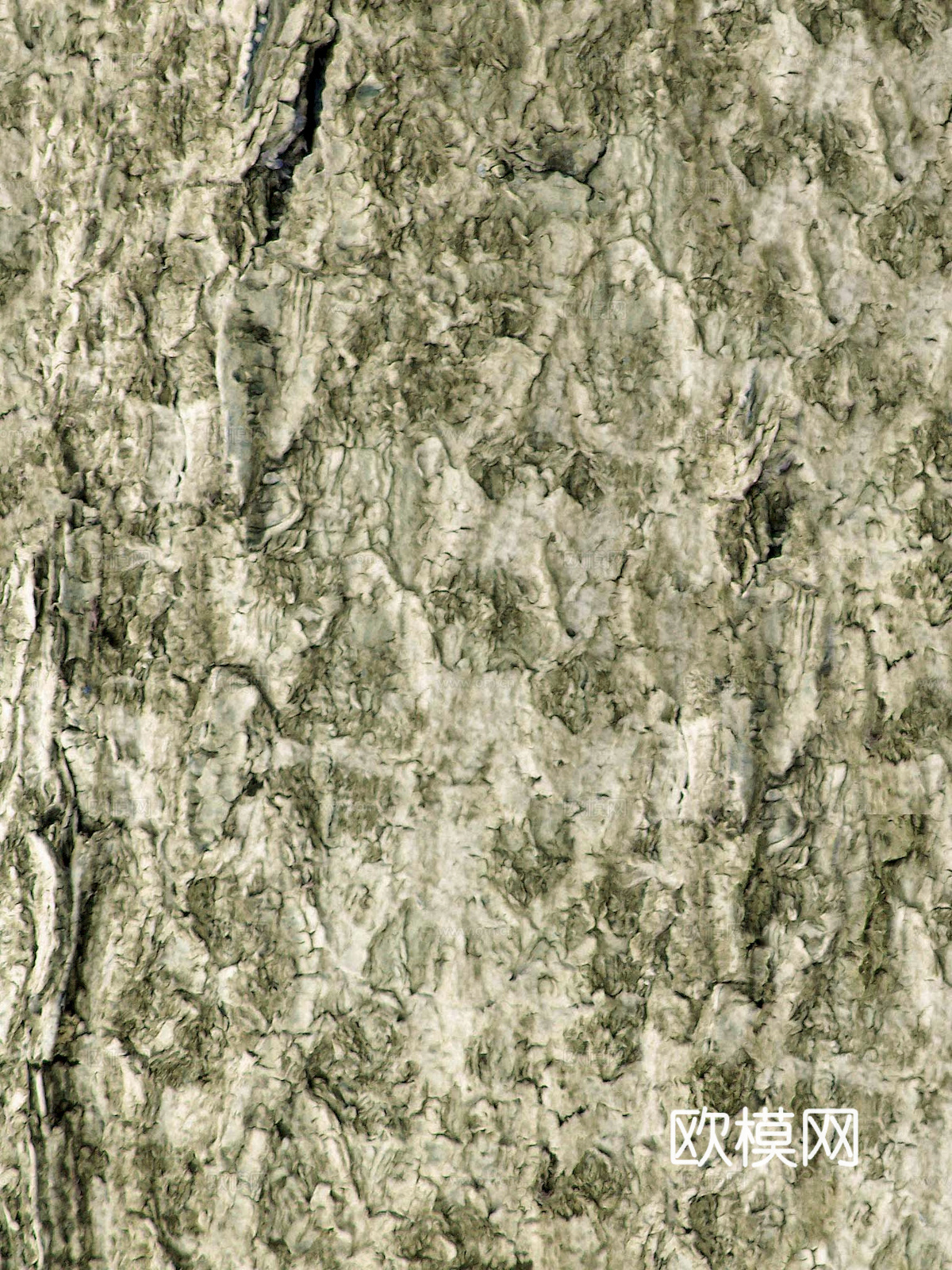 树皮 树干 木头 残旧木纹 木材 木柴 树枝下载