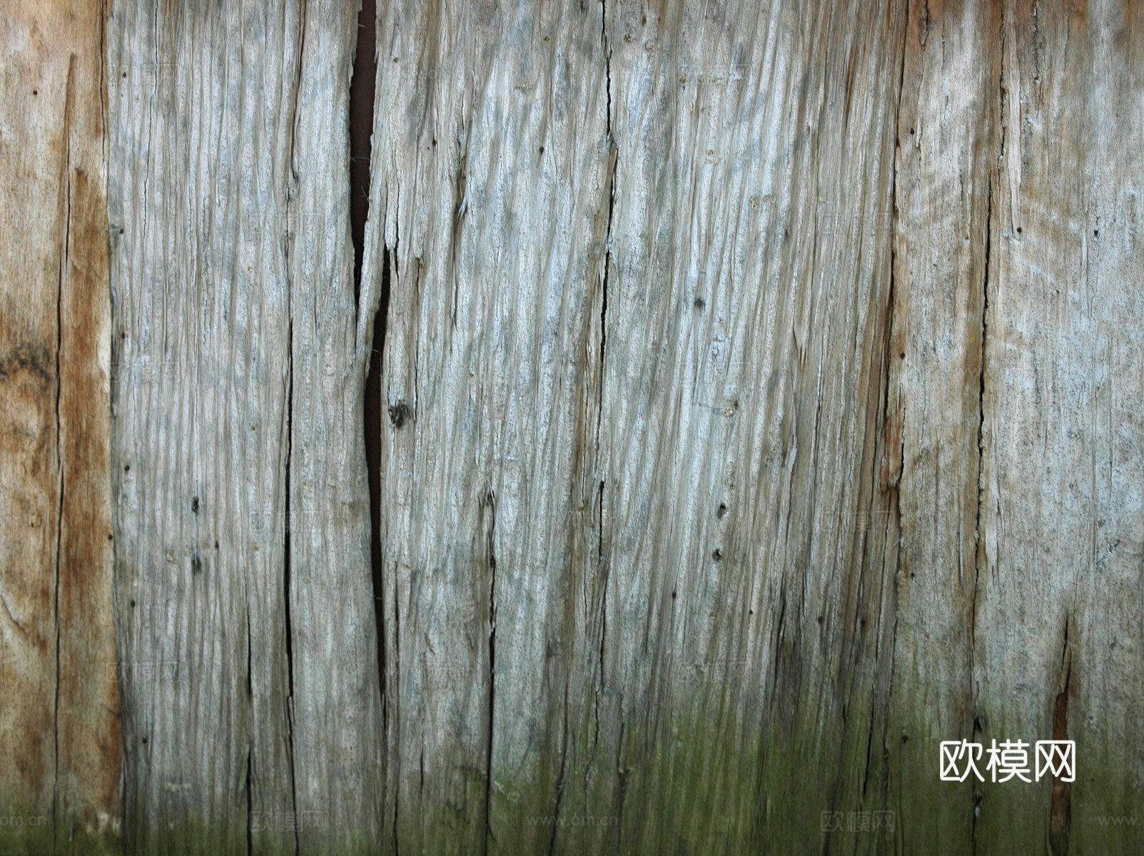 树皮 树干 木头 残旧木纹 木材 木柴 树枝下载