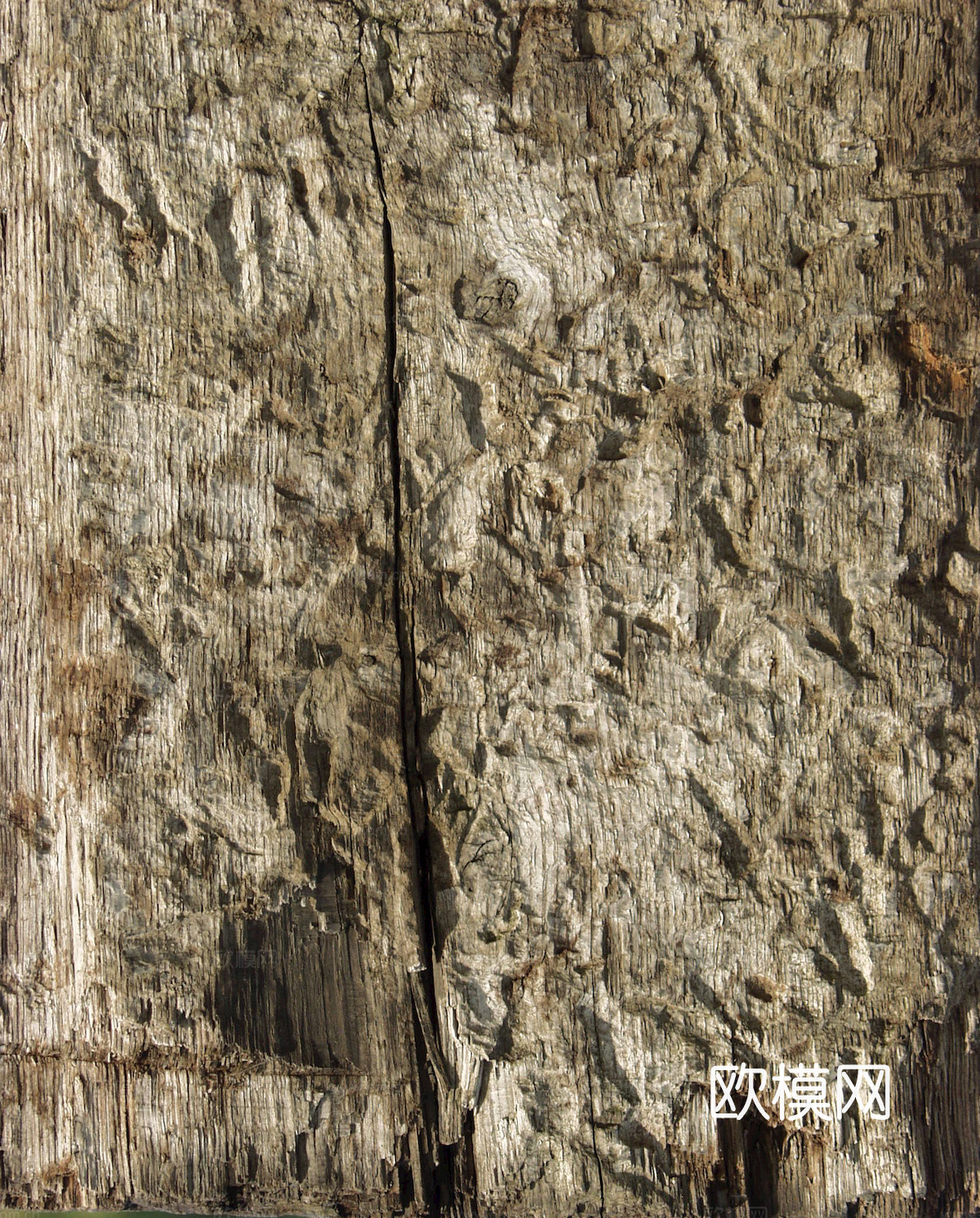 树皮 树干 木头 残旧木纹 木材 木柴 树枝下载