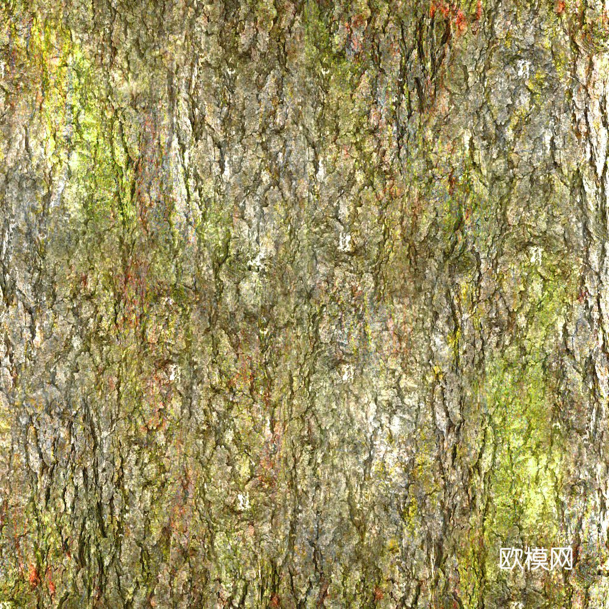 树皮 树干 木头 残旧木纹 木材 木柴 树枝