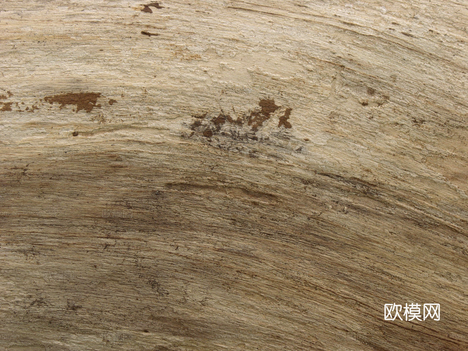 树皮 树干 木头 残旧木纹 木材 木柴 树枝