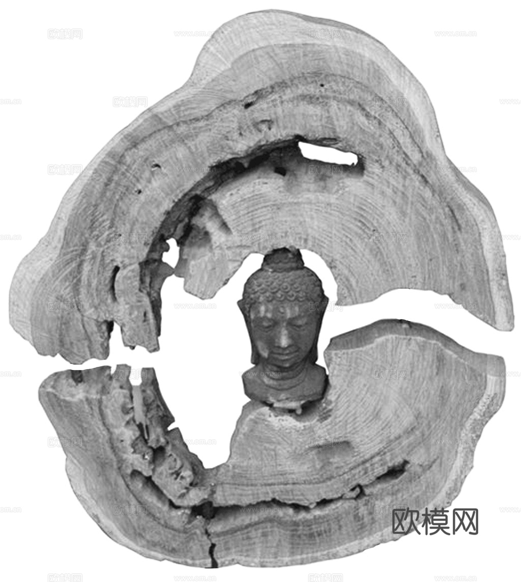 树木 年轮 木桩 树干 木头 残旧木纹 木材  干木柴 树根下载