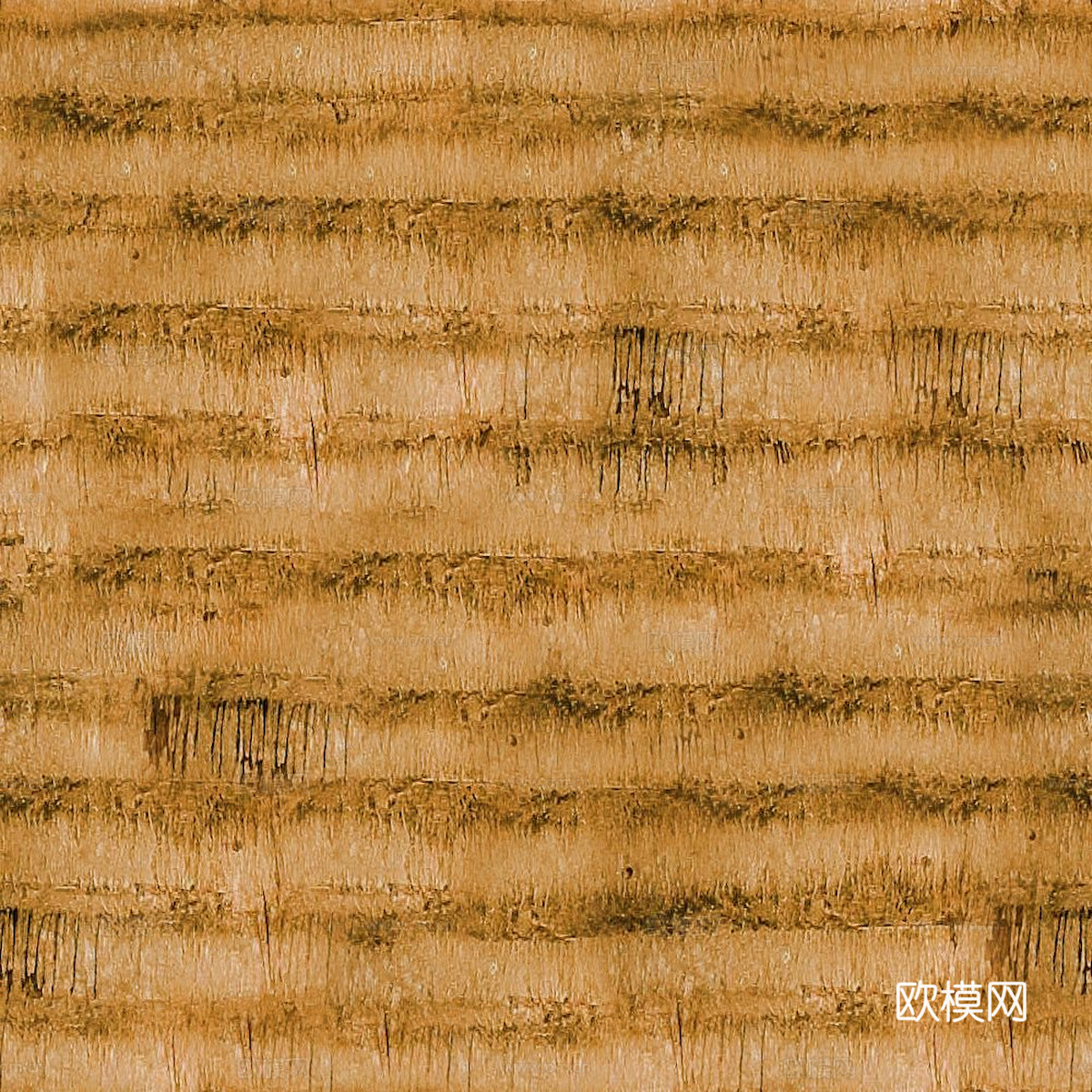 树皮 树干 木头 残旧木纹 木材 木柴 树枝 木柴 树根下载