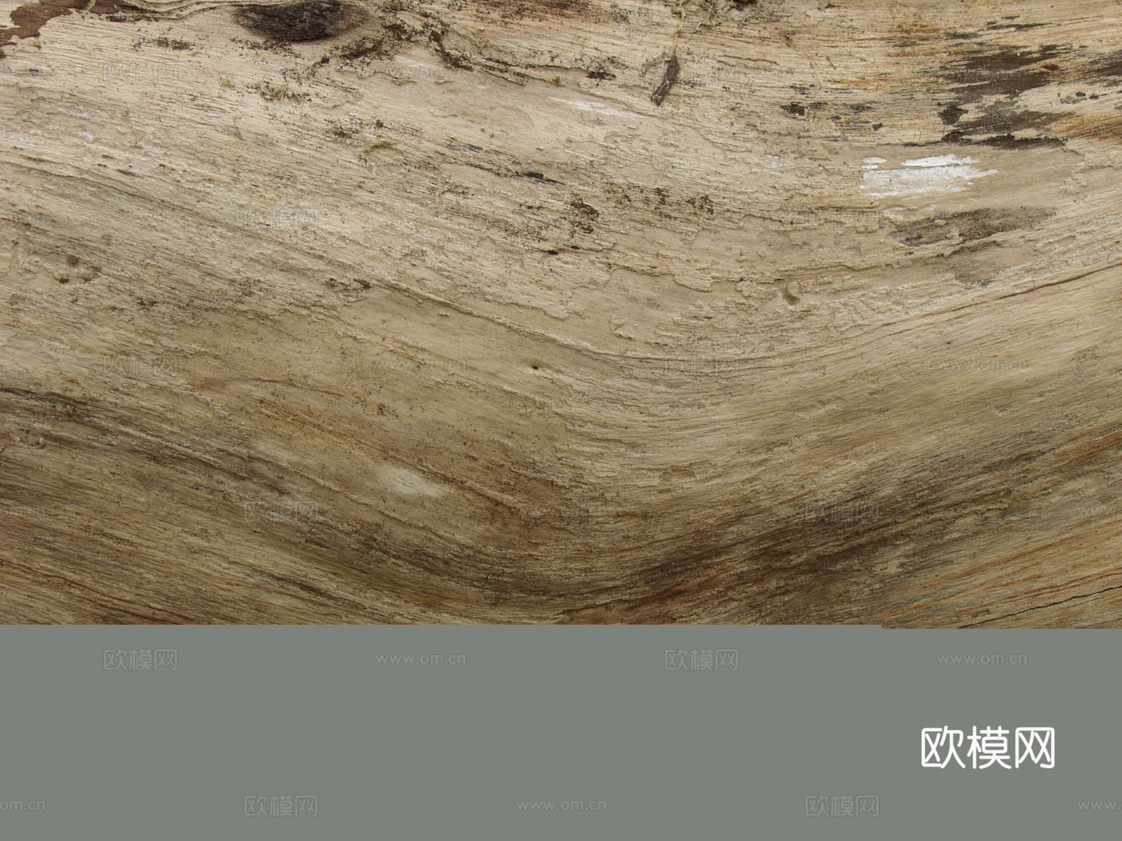 树皮 树干 木头 残旧木纹 木材 木柴 树枝