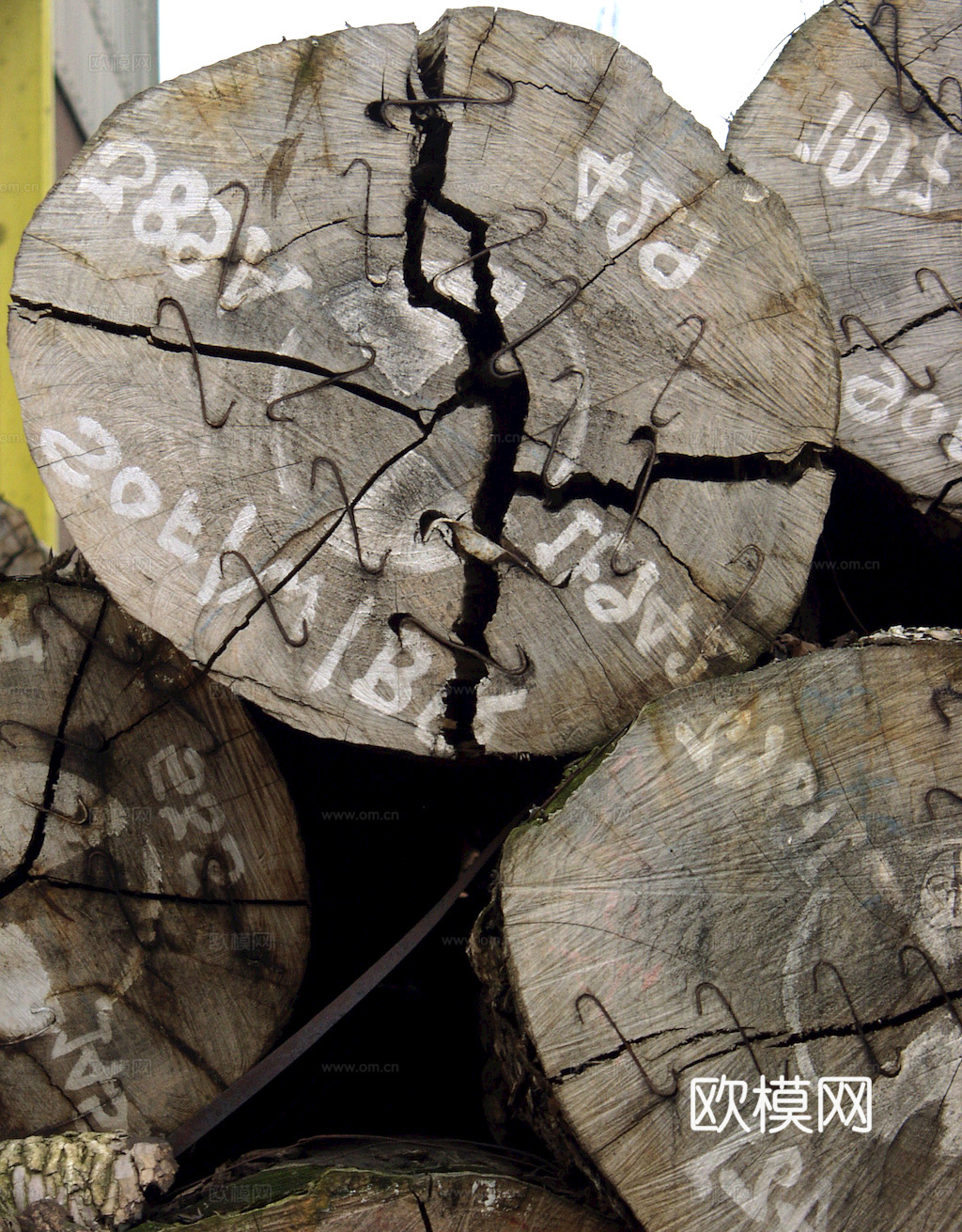 树木 年轮 木桩 树干 木头 残旧木纹 木材  干木柴 树根