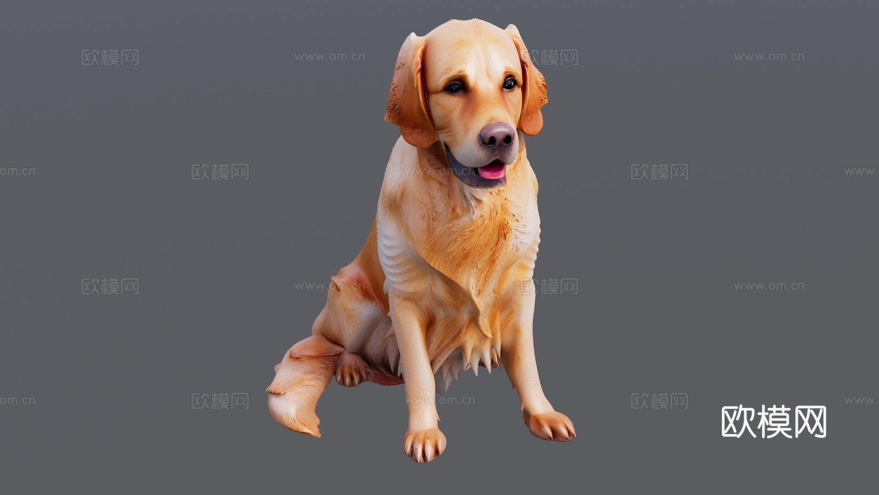 一只坐着的金毛犬su模型