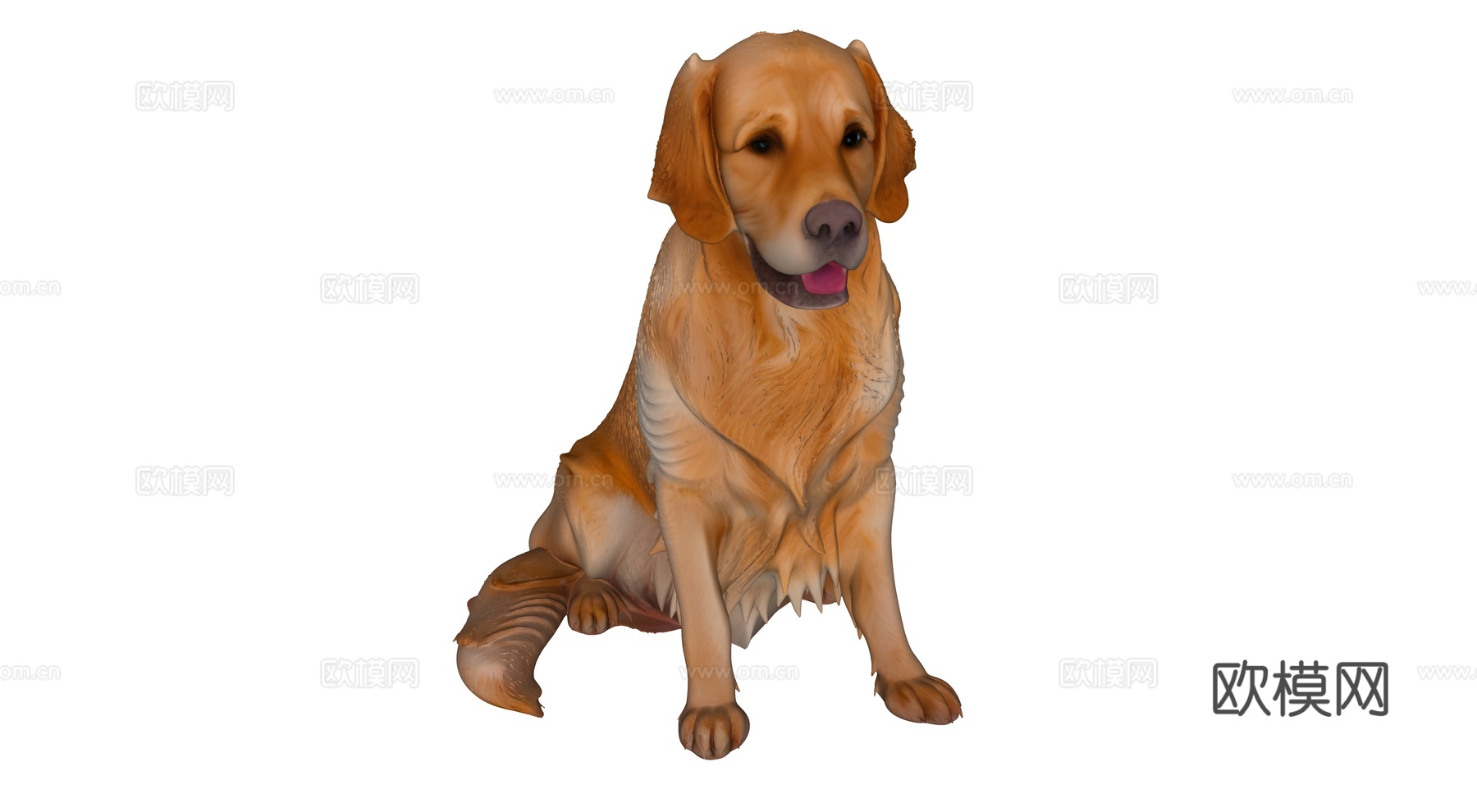 一只坐着的金毛犬su模型