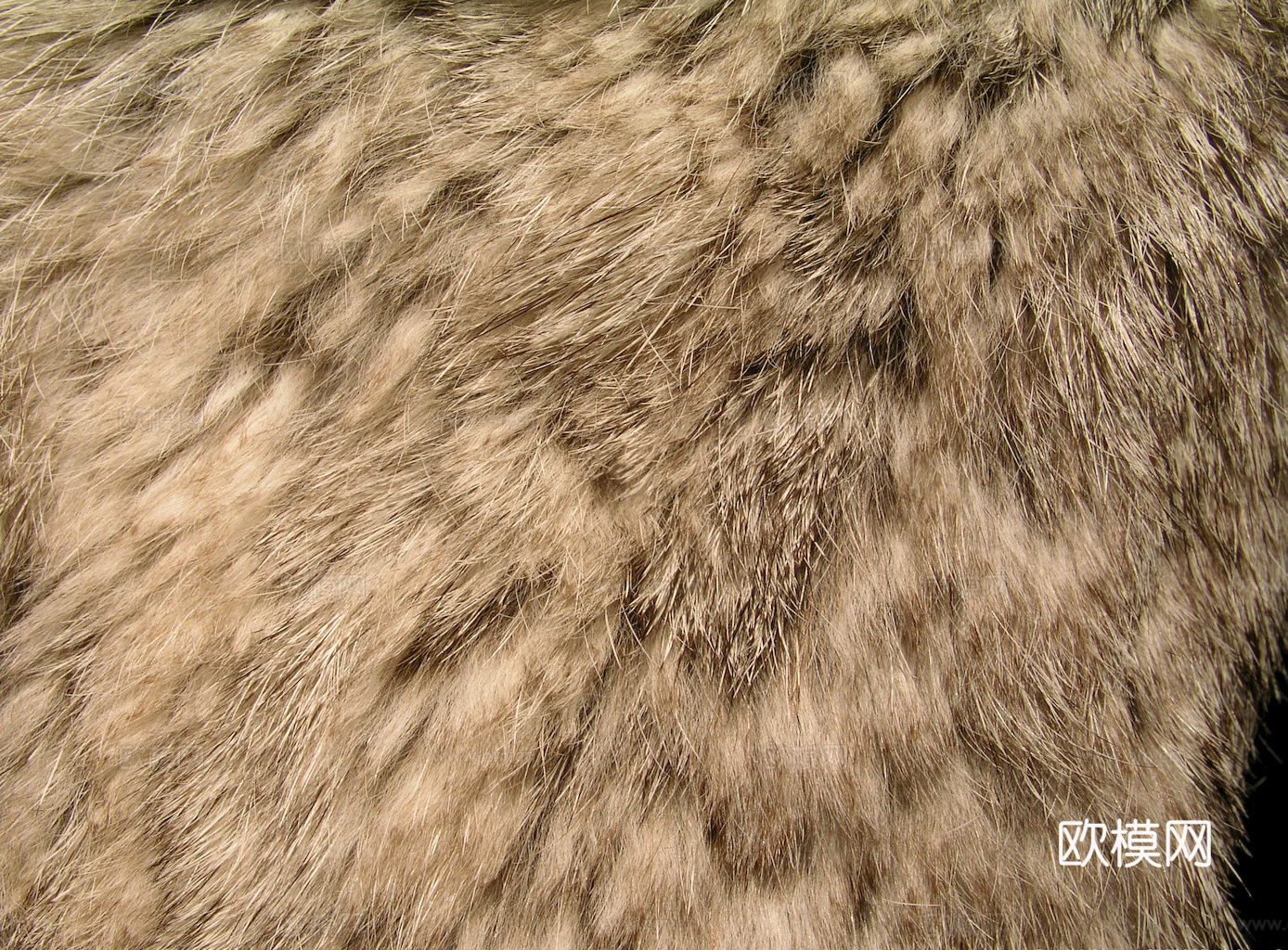 粗纹皮革 皮纹 皮草 动物皮毛 花纹皮革 绒毛毯 软硬包皮革