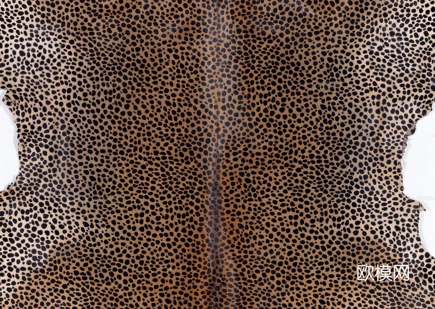 粗纹皮革 皮纹 皮草 动物皮毛 花纹皮革 绒毛毯 软硬包皮革下载