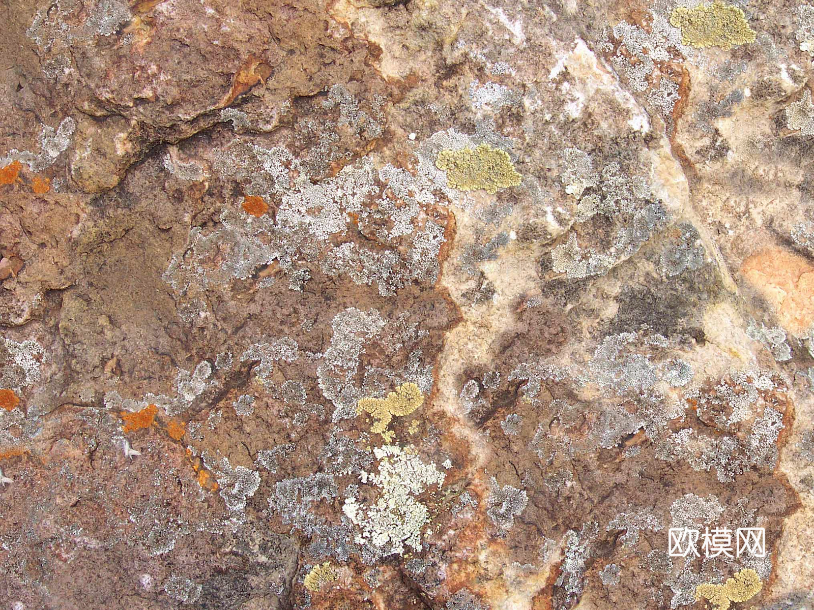 岩石 石头山石 文化石 花岗岩页岩 大理石板石材 岩板火烧板下载