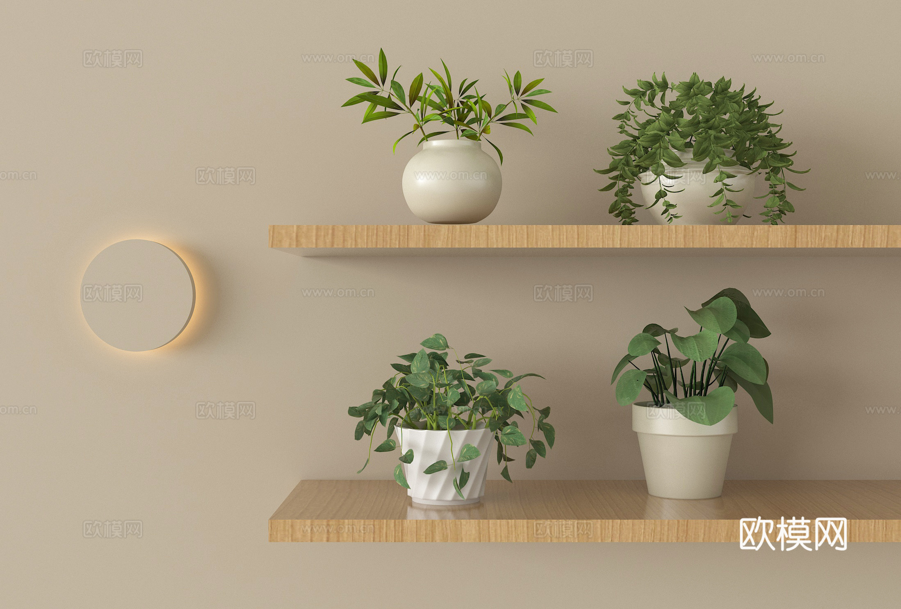 现代盆栽盆景 绿植su模型