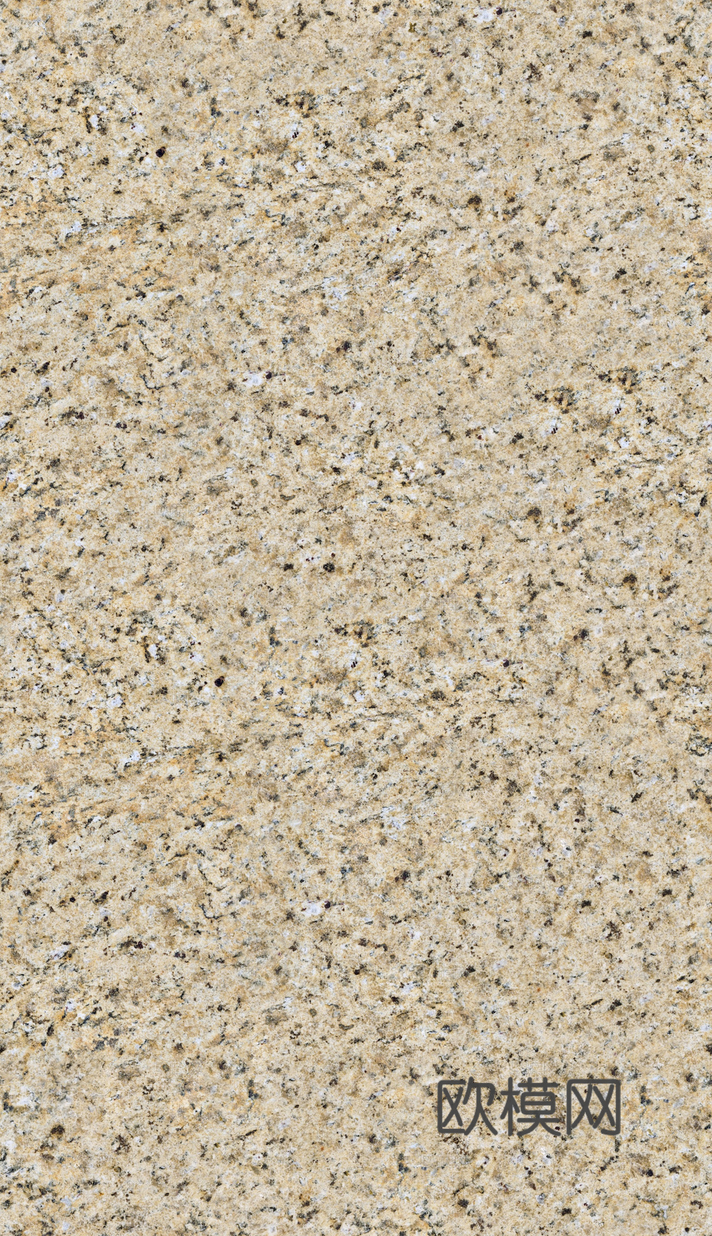 大理石 石材 岩石 室外火烧板芝麻黑  芝麻灰花岗岩墙地面下载
