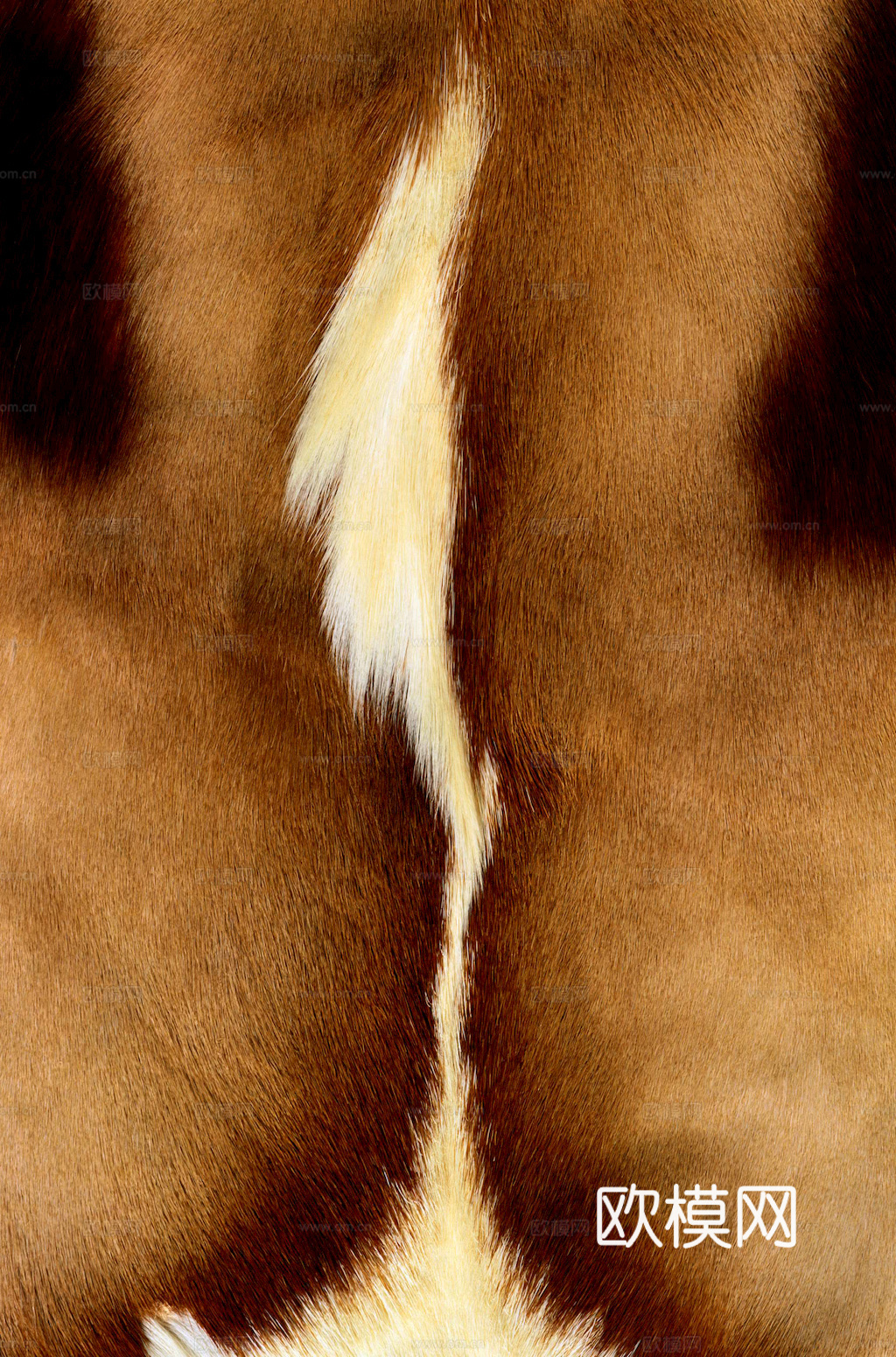 粗纹皮革 皮纹 皮草 动物皮毛 花纹皮革 绒毛毯 软硬包皮革下载