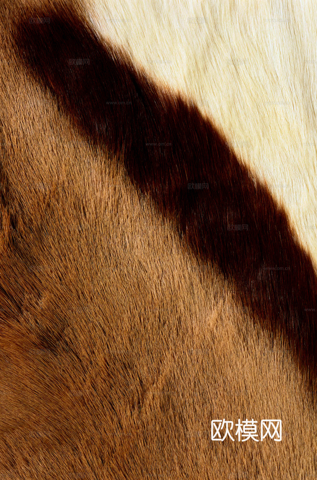 粗纹皮革 皮纹 皮草 动物皮毛 花纹皮革 绒毛毯 软硬包皮革