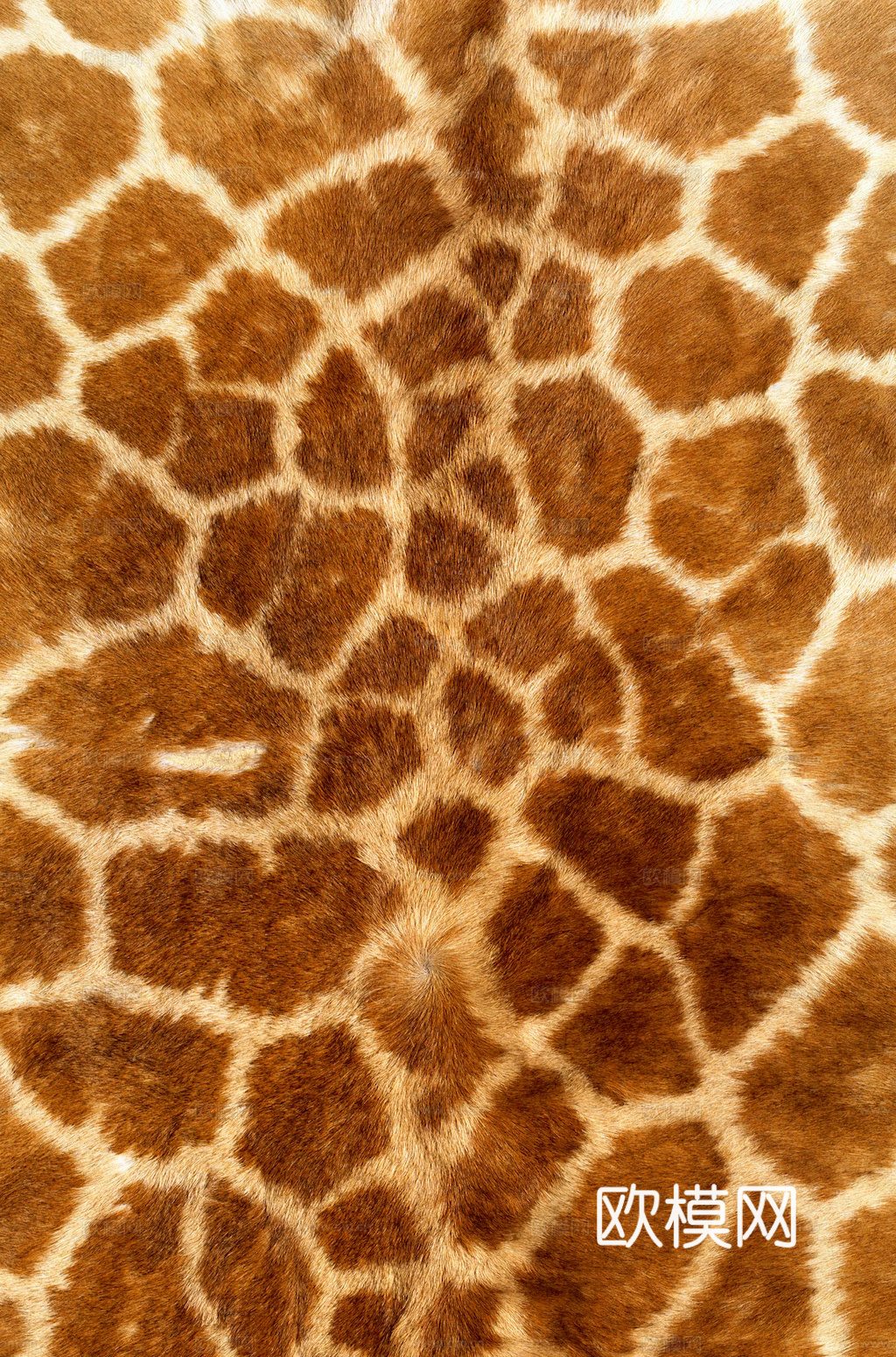 粗纹皮革 皮纹 皮草 动物皮毛 花纹皮革 绒毛毯 软硬包皮革下载