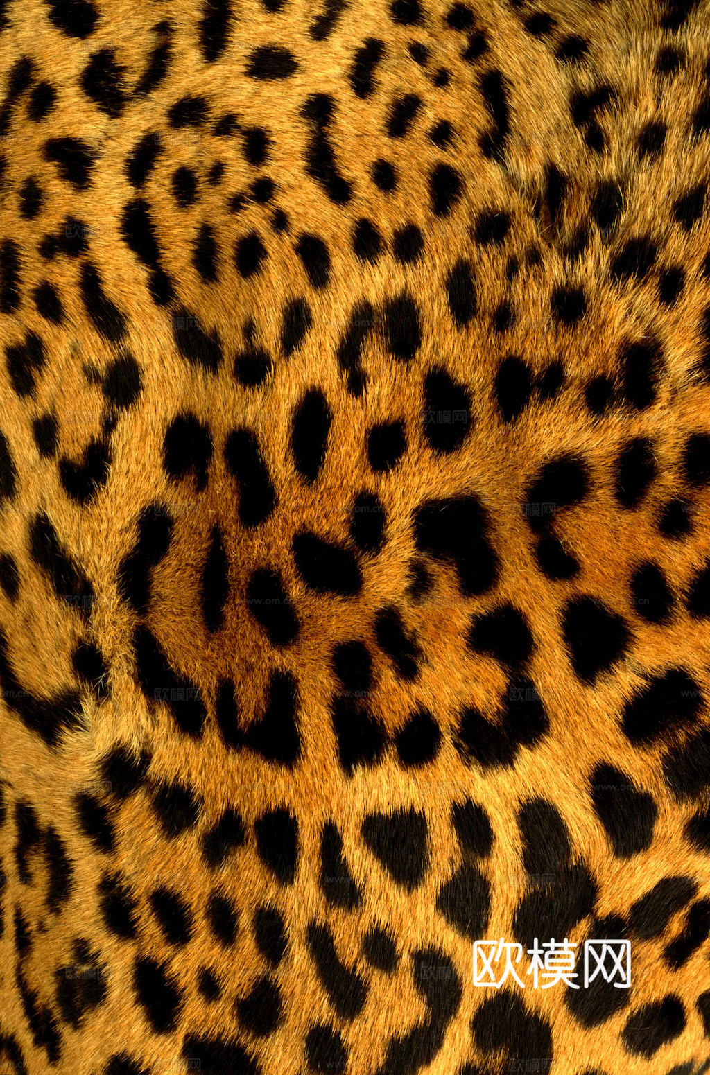 粗纹皮革 皮纹 皮草 动物皮毛 花纹皮革 绒毛毯 软硬包皮革下载