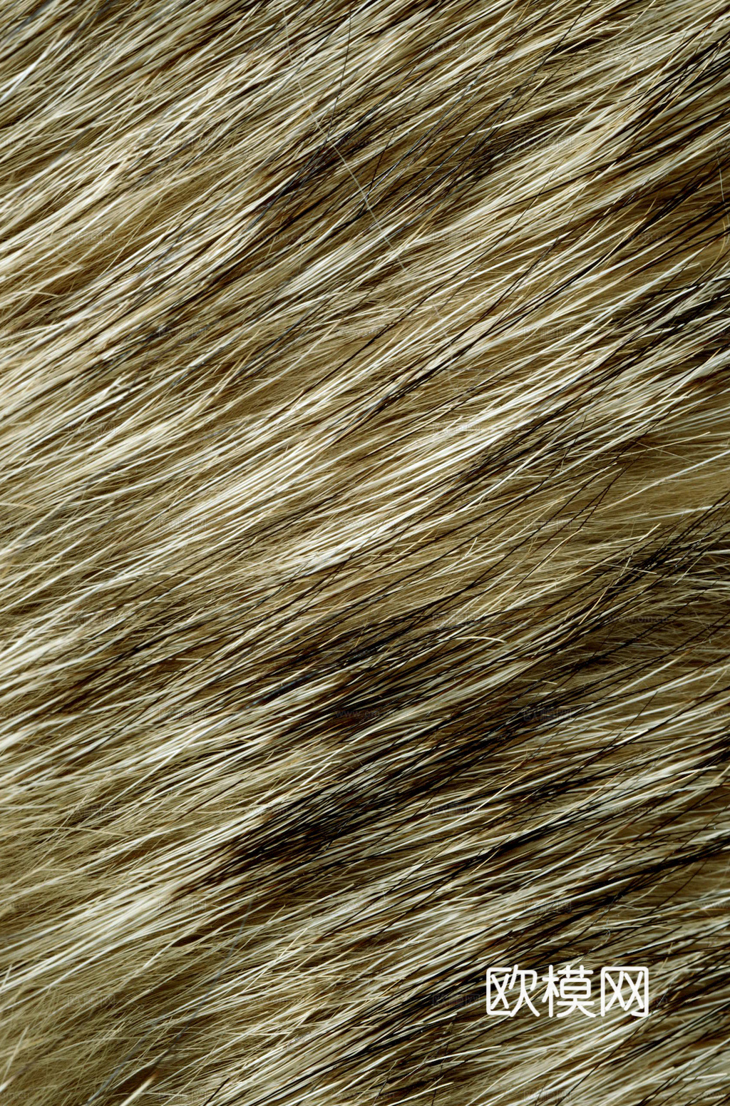 粗纹皮革 皮纹 皮草 动物皮毛 花纹皮革 绒毛毯 软硬包皮革下载