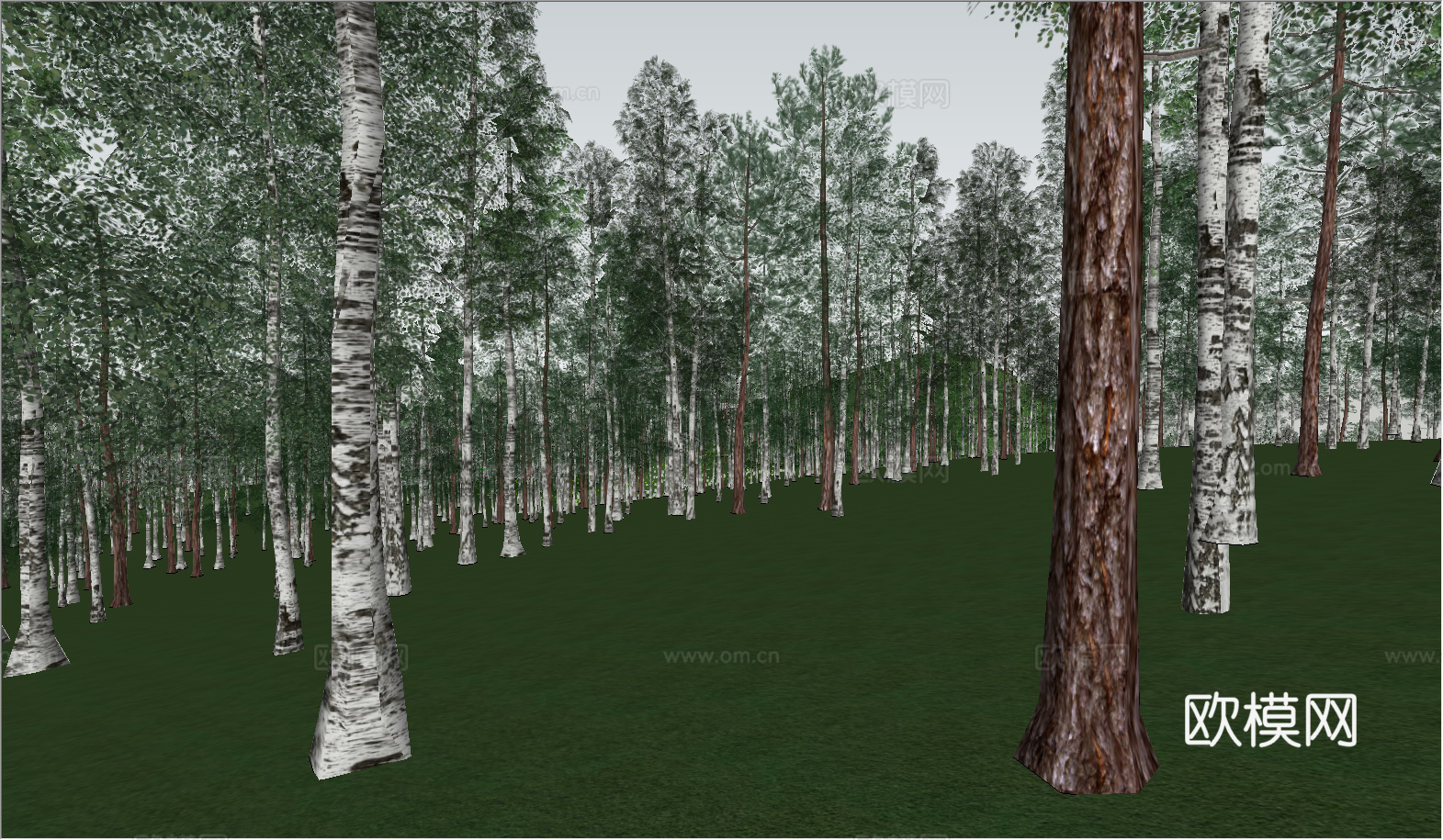 现代公园景观_树林su模型