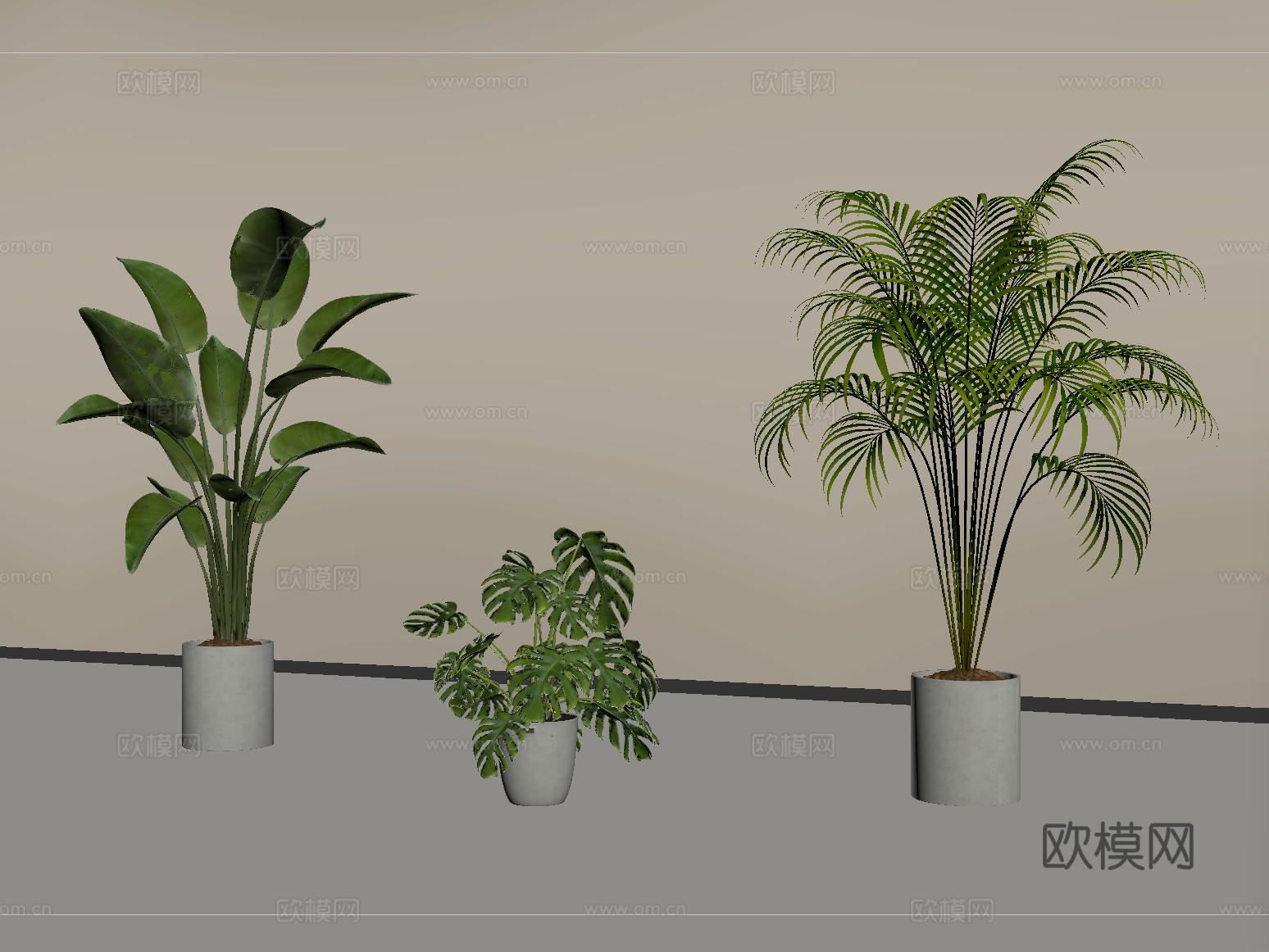 现代盆栽 盆景 绿植 盆栽组合su模型