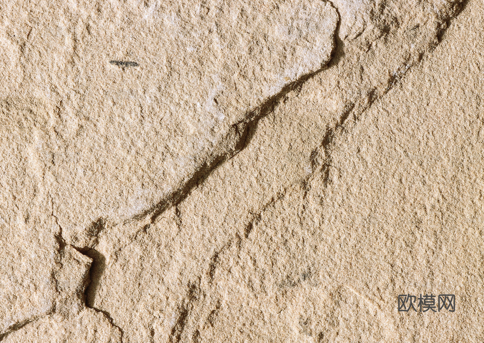 大理石 石材 岩石 室外火烧板芝麻黑  芝麻灰花岗岩墙地面下载