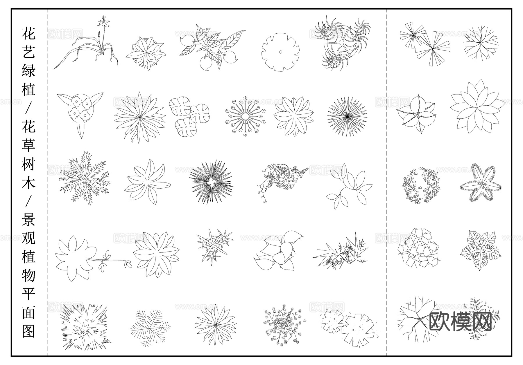 花艺绿植 景观植物  花草树木平面图cad施工图