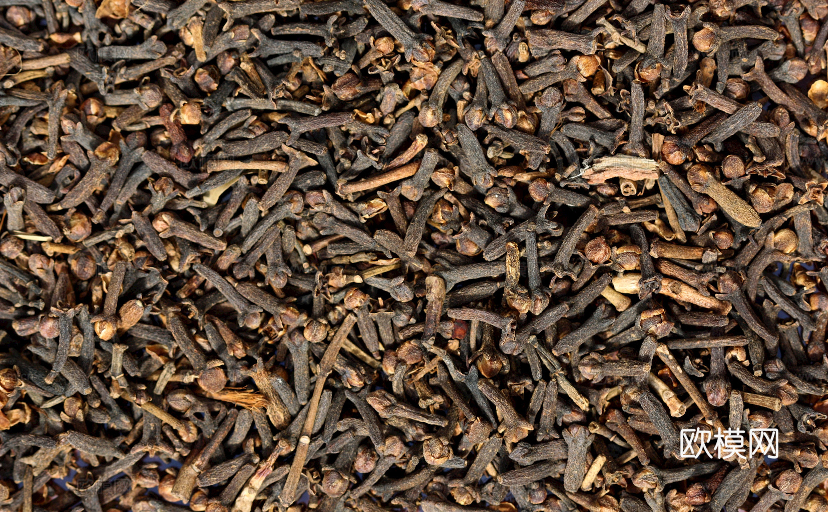 食物 蔬菜 香料 调料 玉米 包菜 辣椒