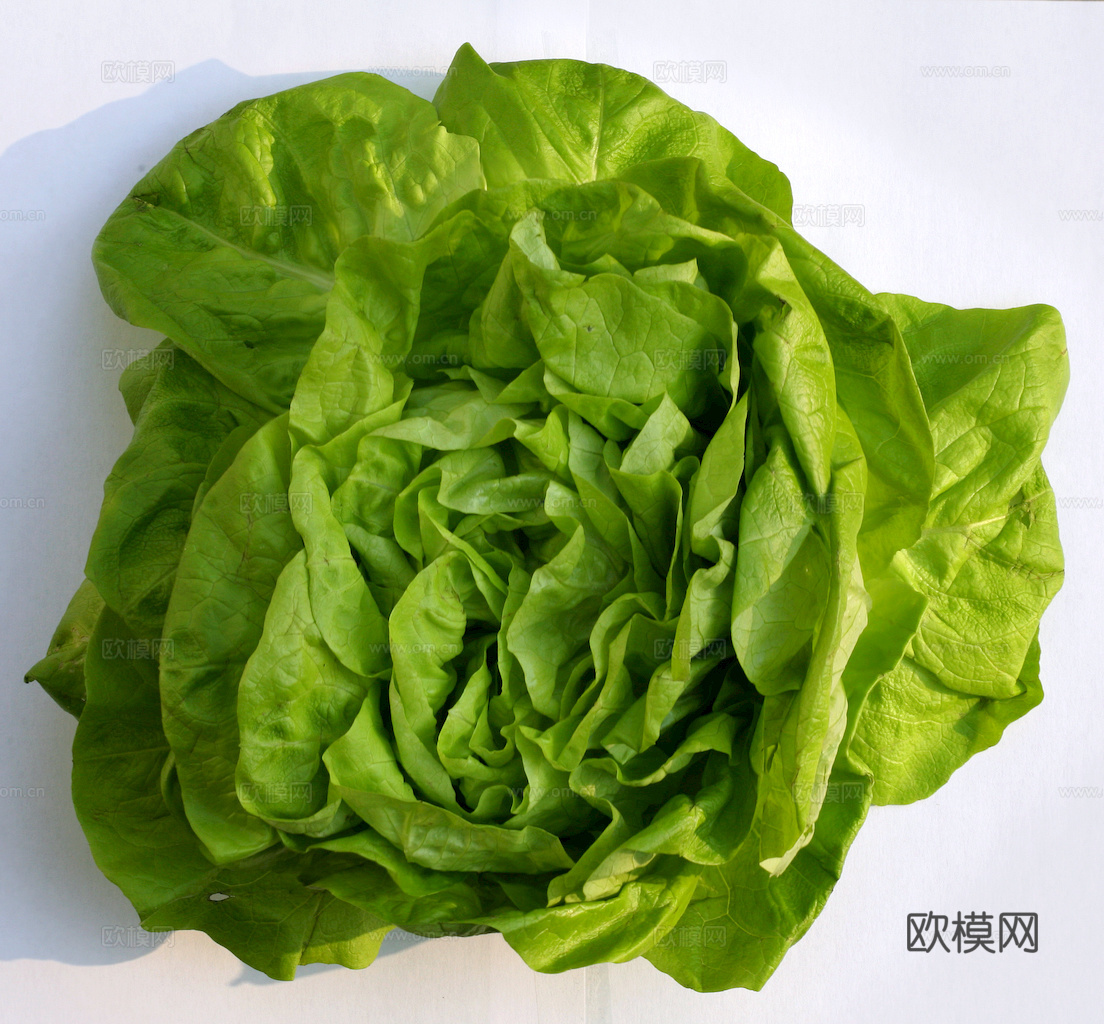 食物 蔬菜 香料 调料 玉米 包菜 辣椒