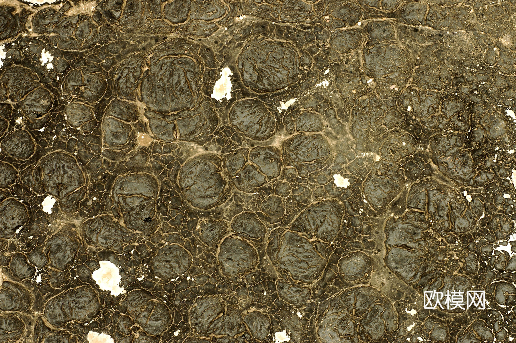 破损破旧塑料橡胶 废弃塑料橡胶 塑料布 轮胎下载