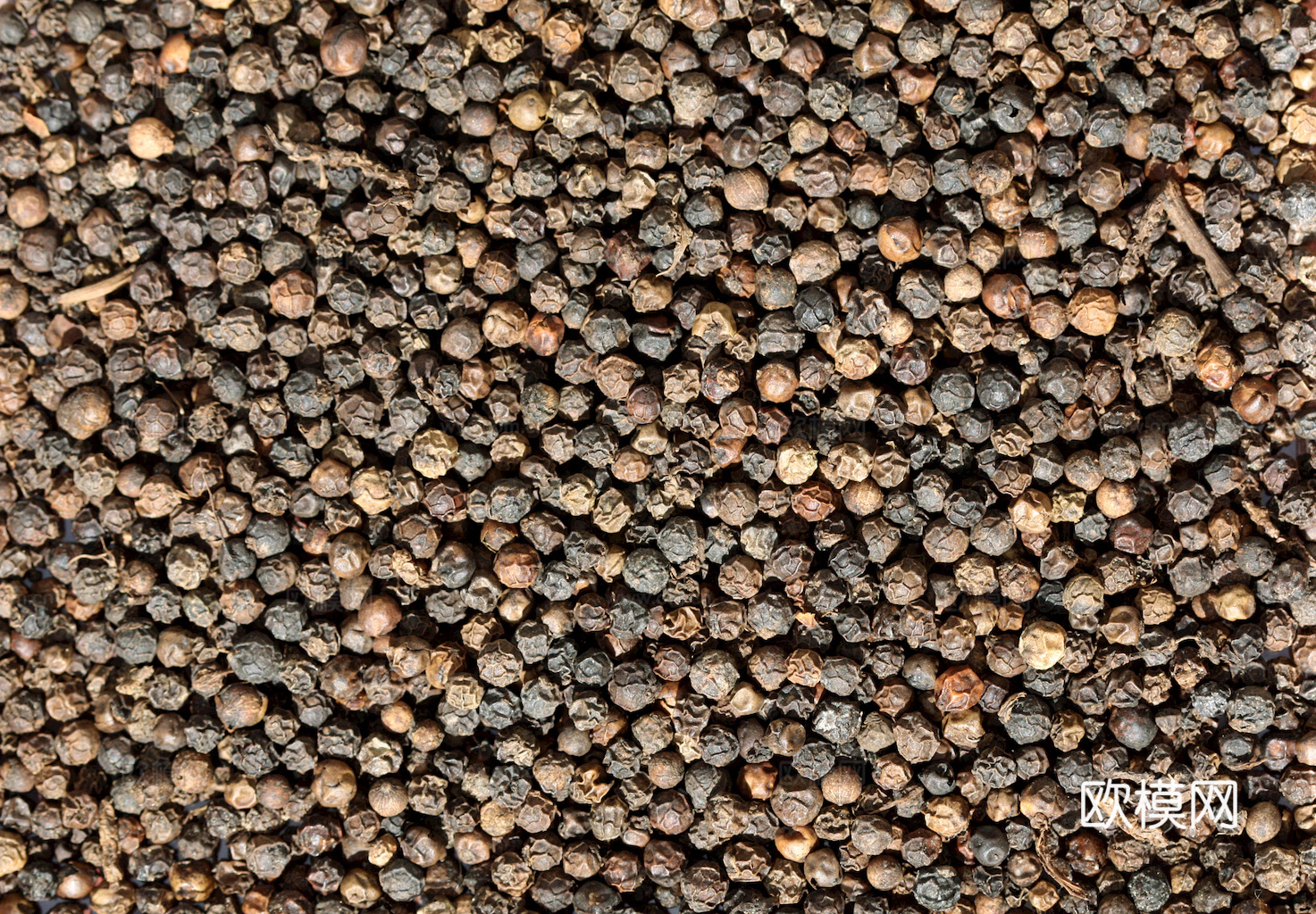 食物 蔬菜 香料 调料 玉米 包菜 辣椒