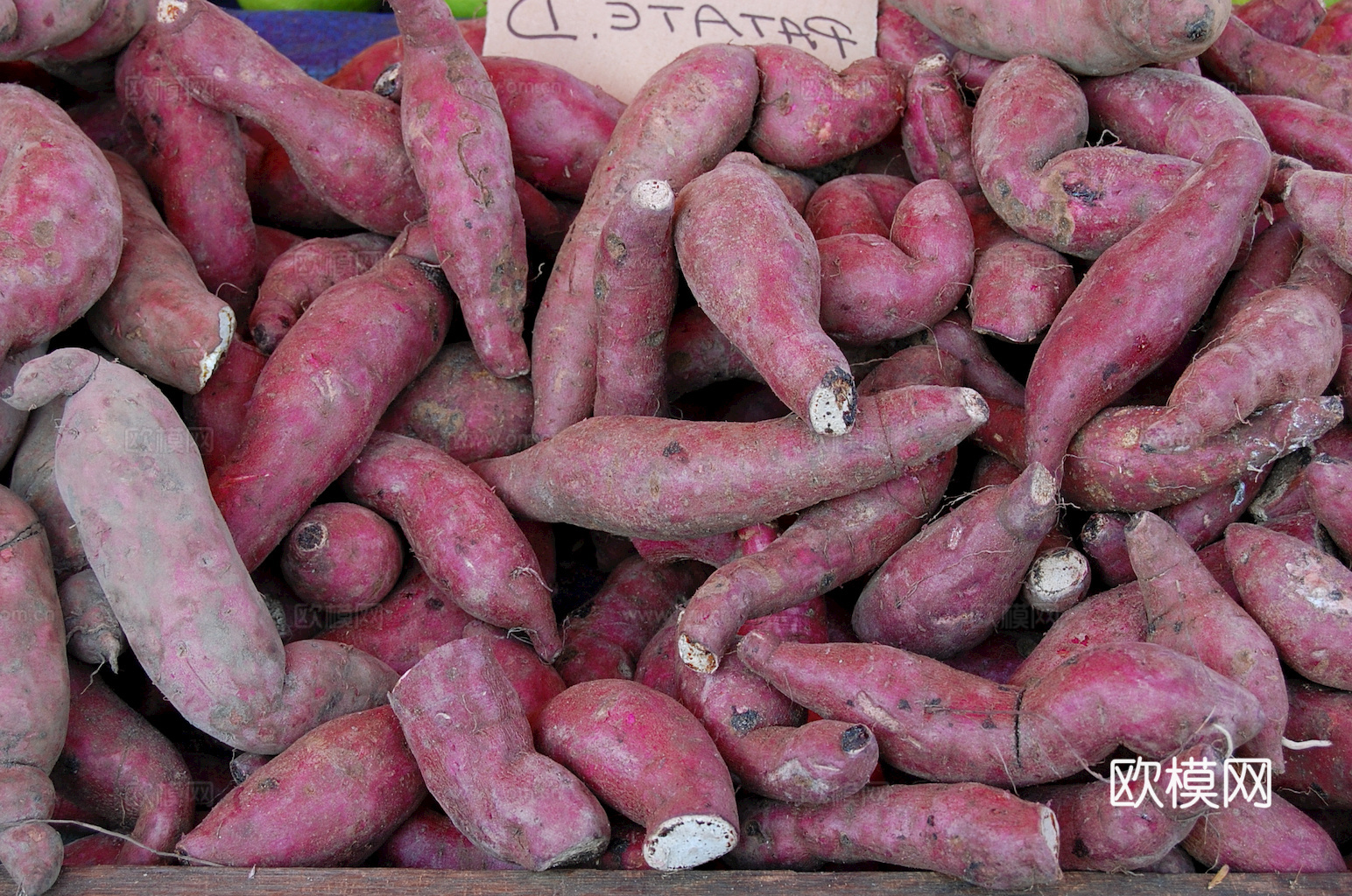 食物 蔬菜 香料 调料 玉米 包菜 辣椒