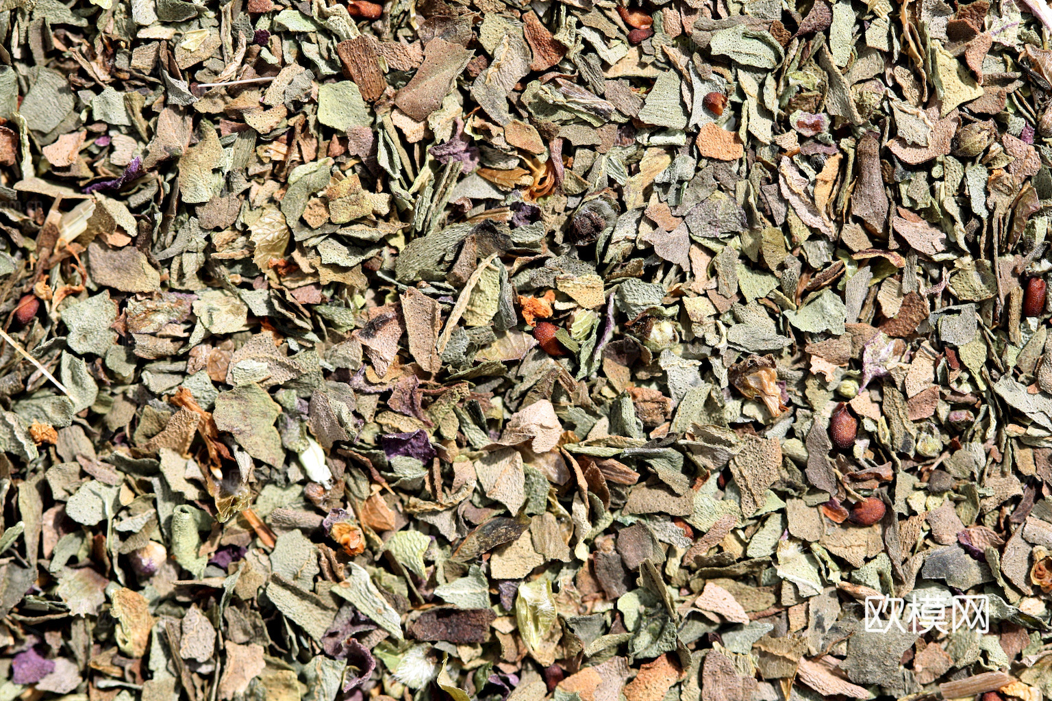 食物 蔬菜 香料 调料 玉米 包菜 辣椒下载