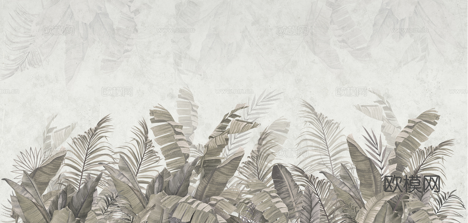 现代植物热带雨林壁纸