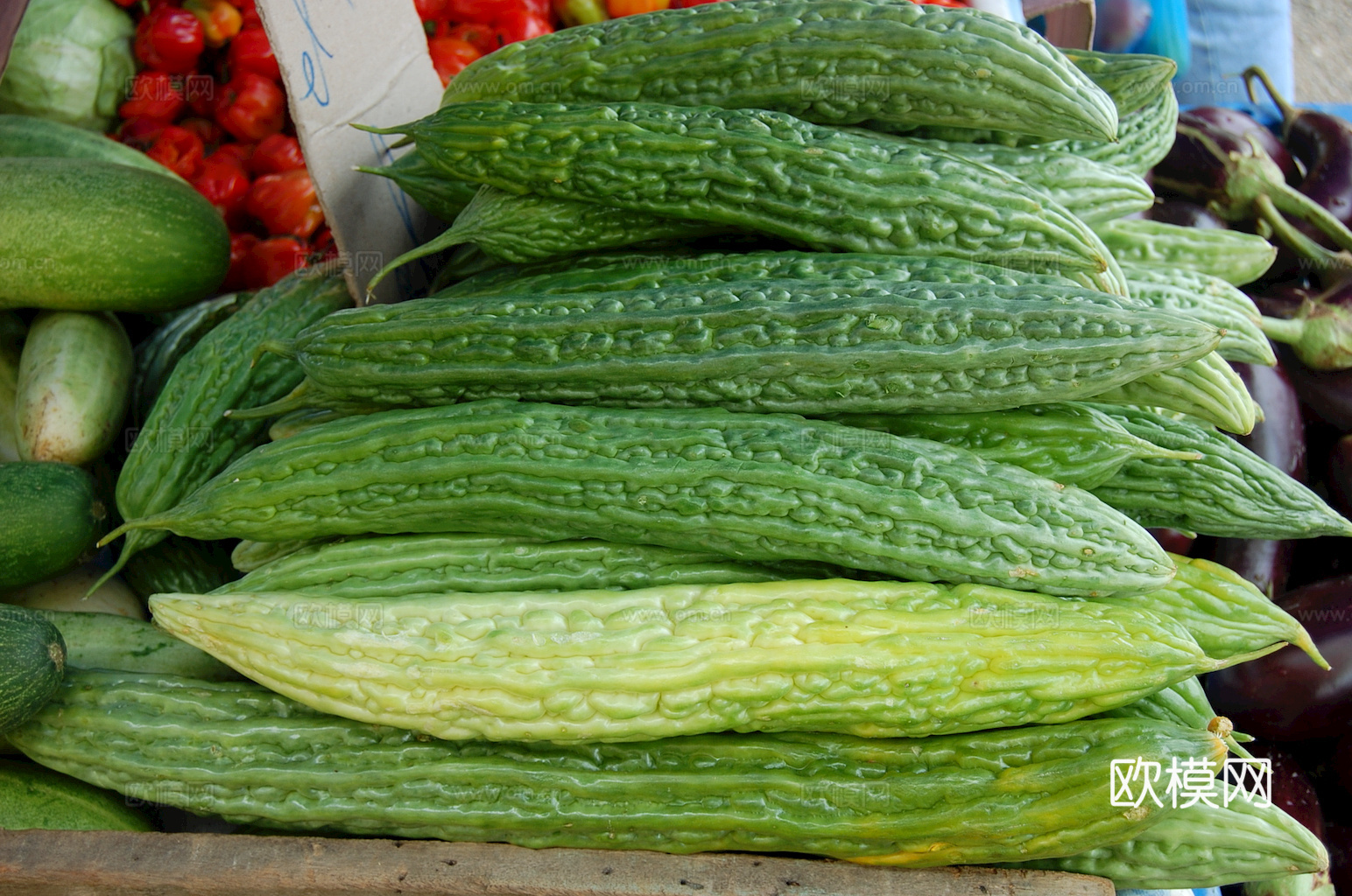 食物 蔬菜 香料 调料 玉米 包菜 辣椒