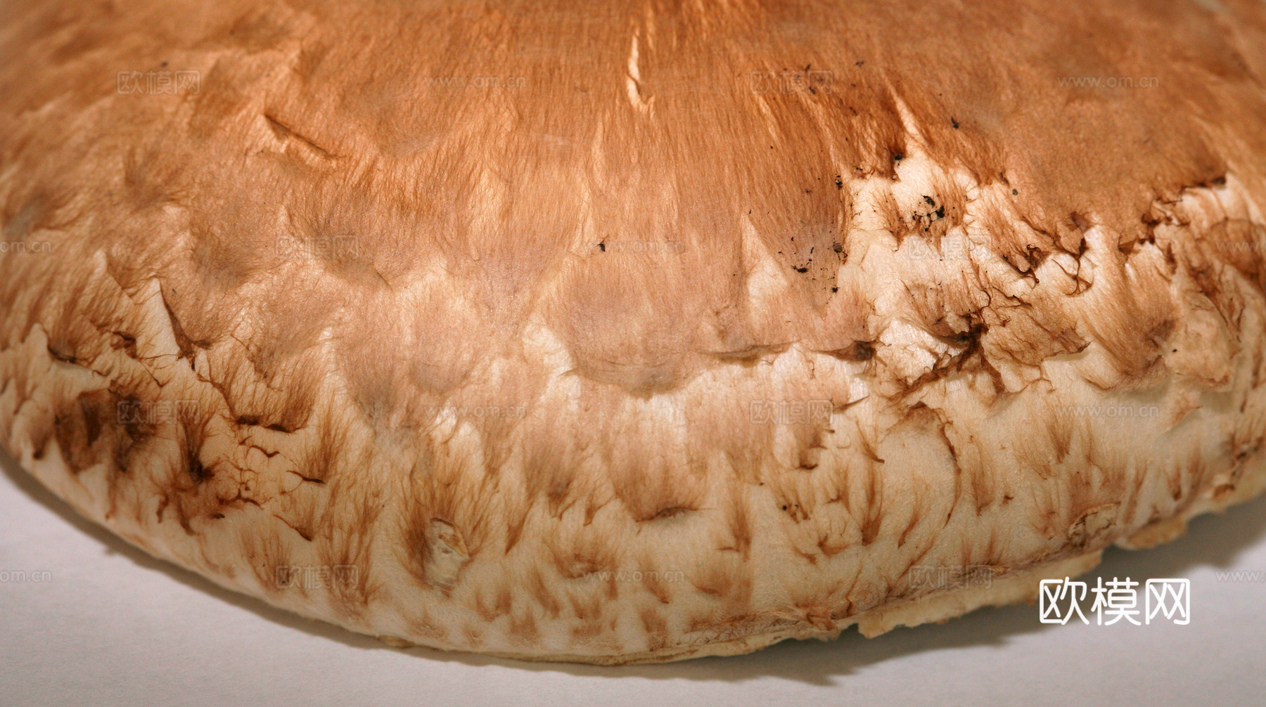 食物 蔬菜 香料 调料 玉米 包菜 辣椒