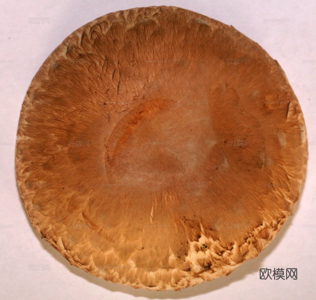 食物 蔬菜 香料 调料 玉米 包菜 辣椒