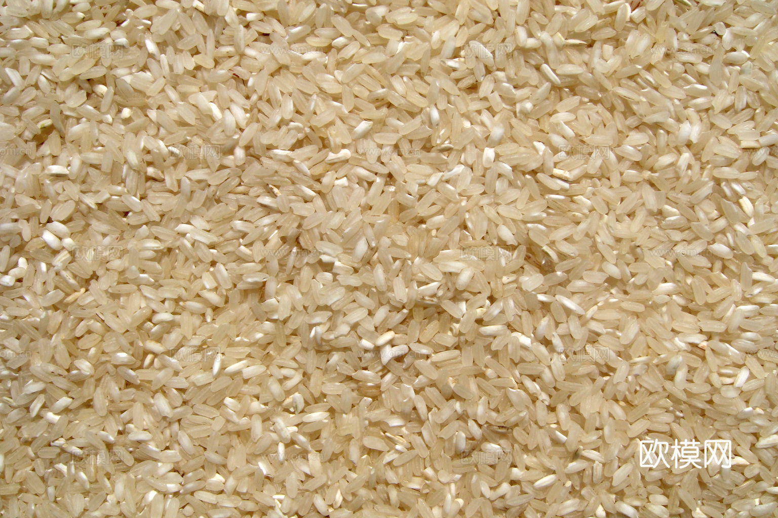 食物 蔬菜 香料 调料 玉米 包菜 辣椒