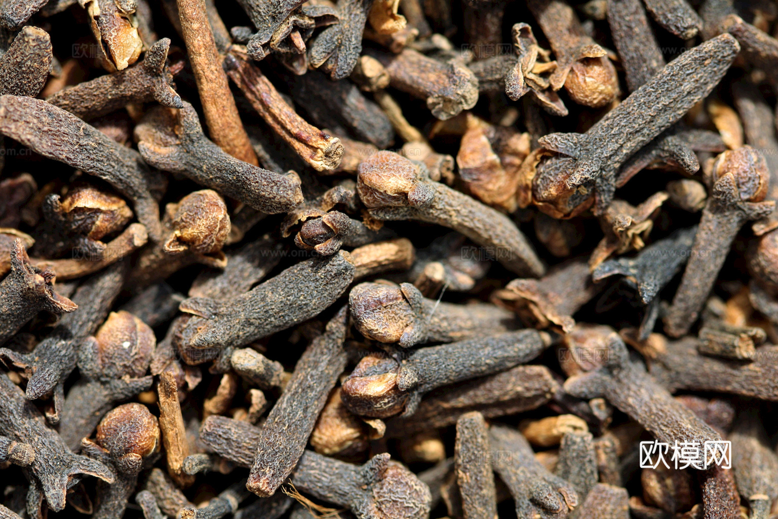 食物 蔬菜 香料 调料 玉米 包菜 辣椒下载