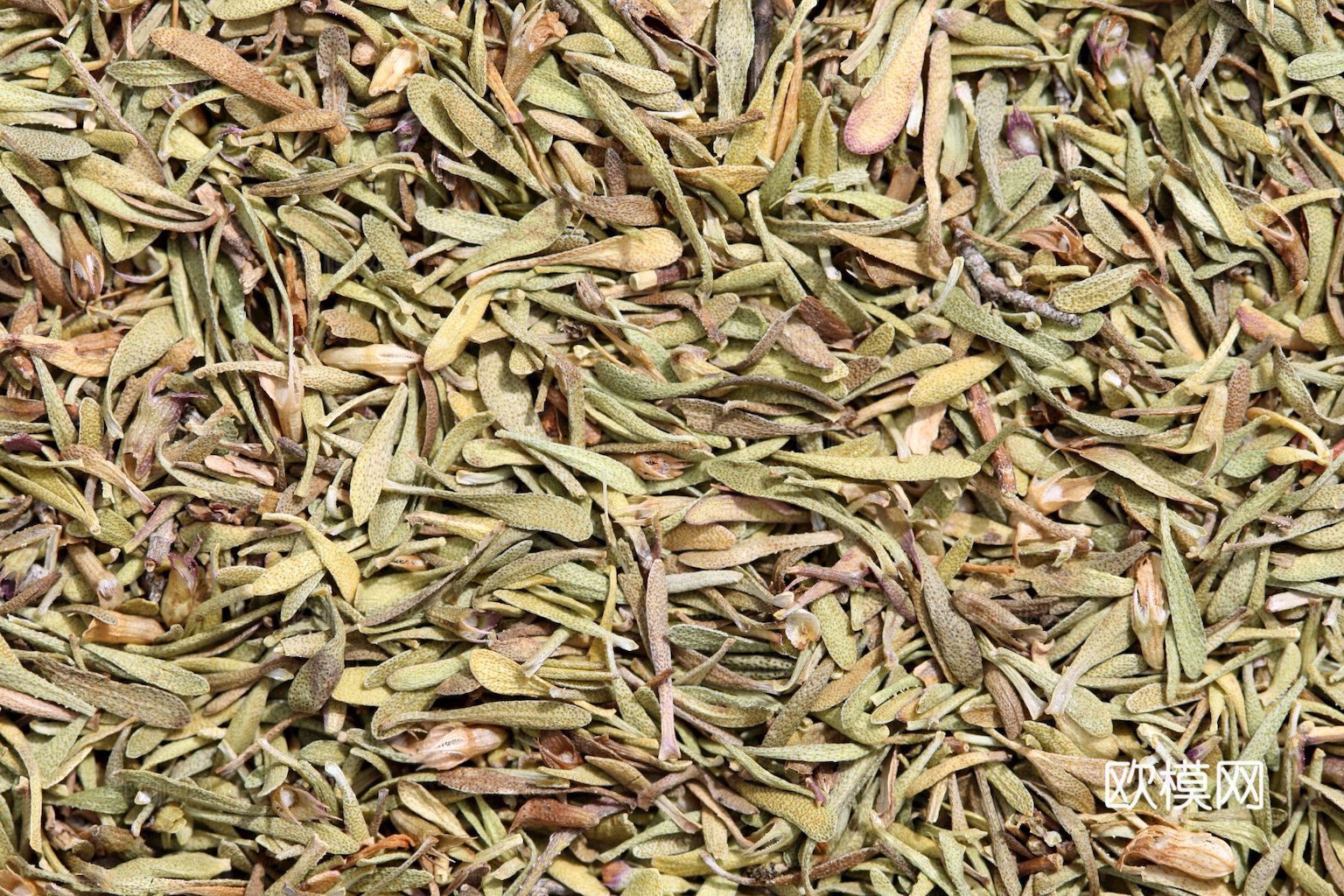 食物 蔬菜 香料 调料 玉米 包菜 辣椒