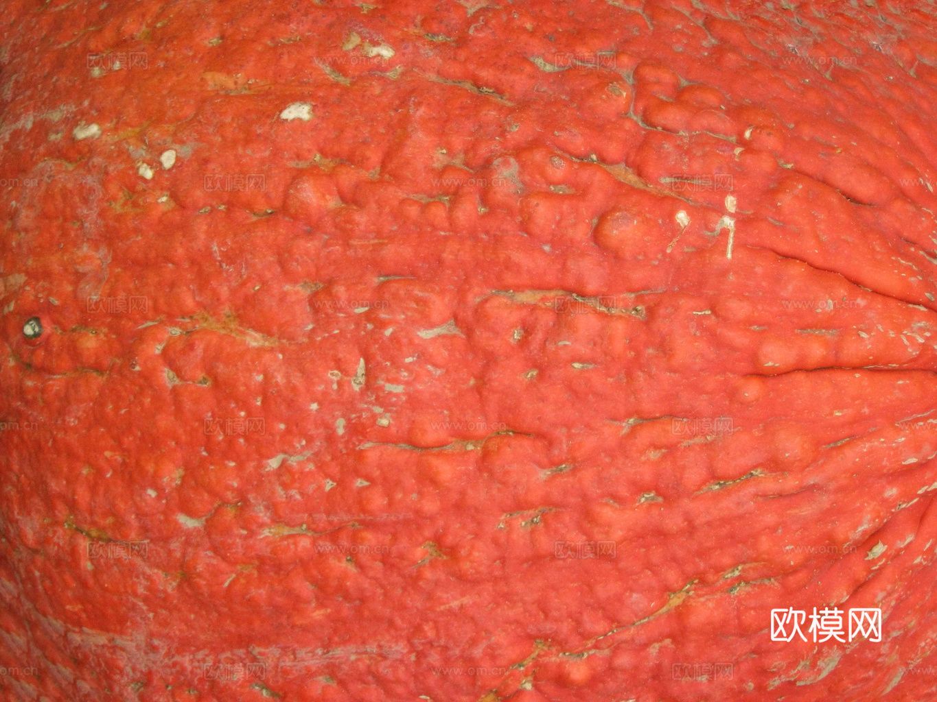 食物 蔬菜 香料 调料 玉米 包菜 辣椒