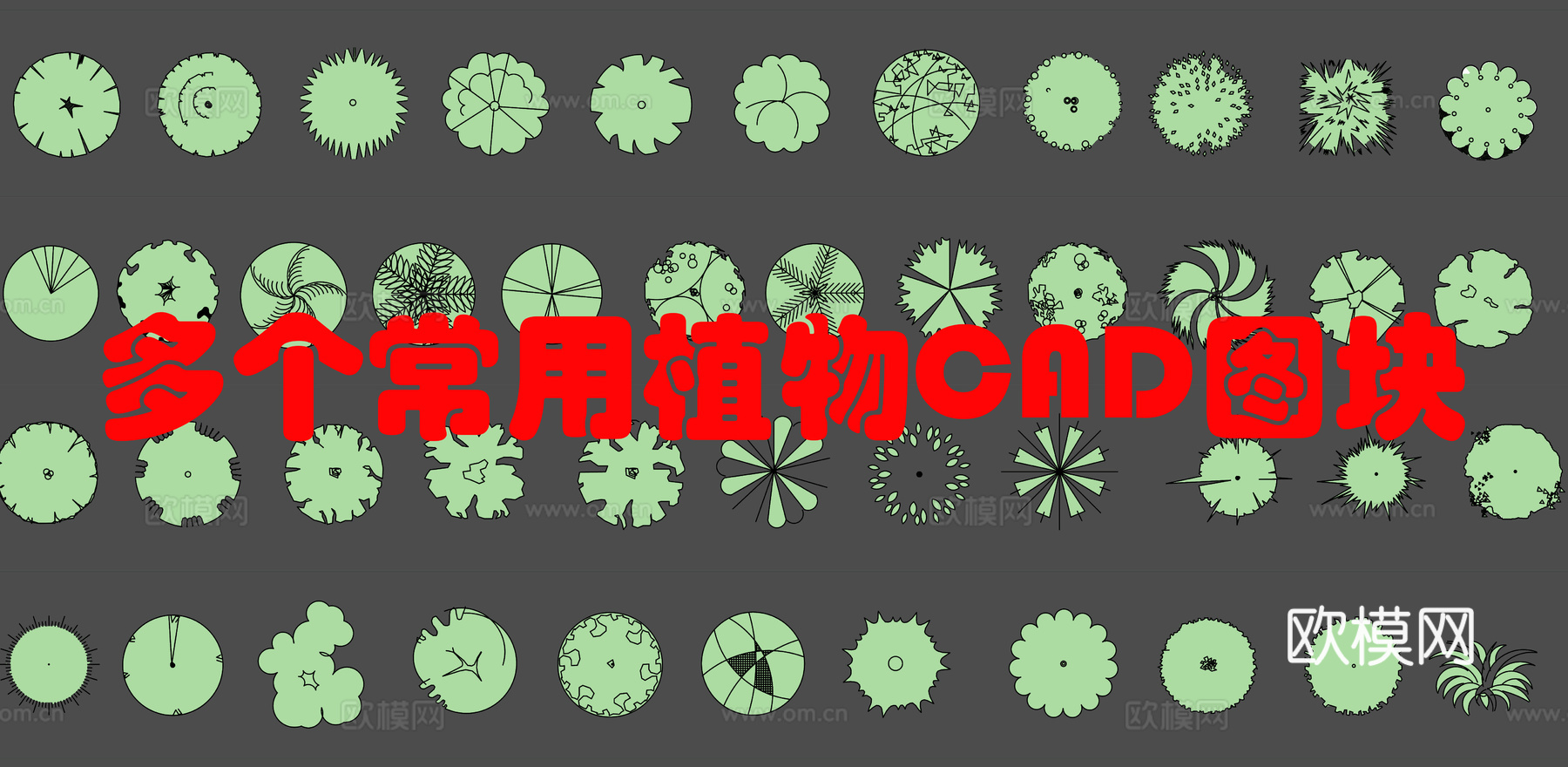 棕榈灌木CAD图例cad施工图