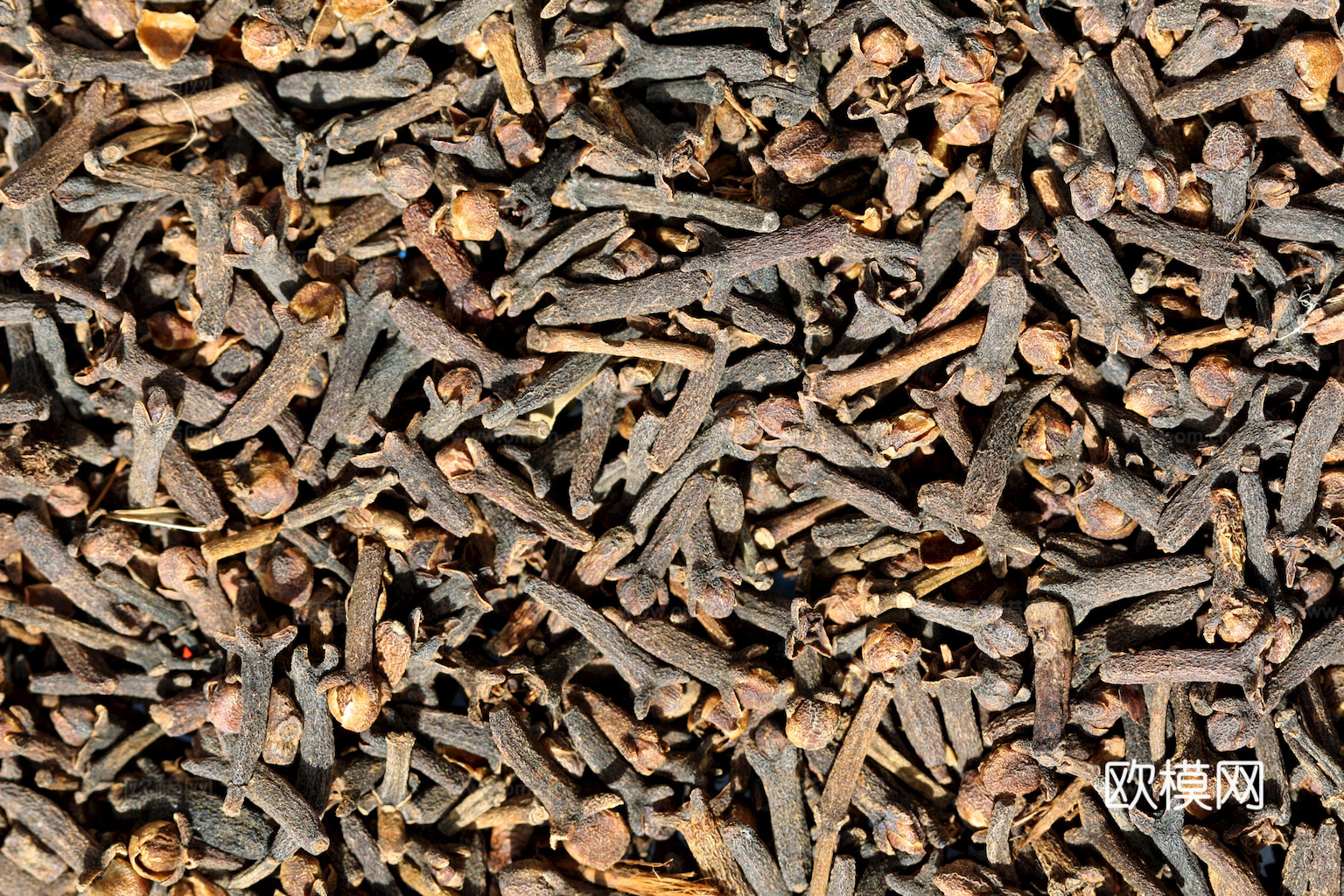 食物 蔬菜 香料 调料 玉米 包菜 辣椒下载