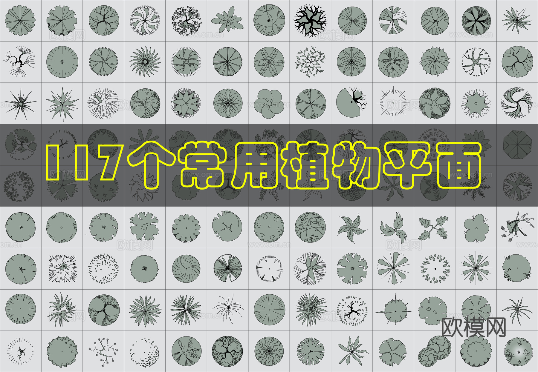 植物CAD图库1cad施工图