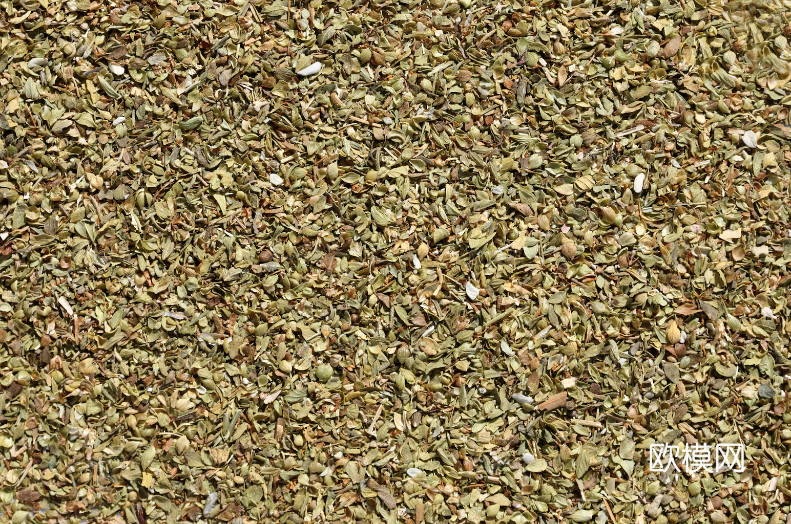 食物 蔬菜 香料 调料 玉米 包菜 辣椒