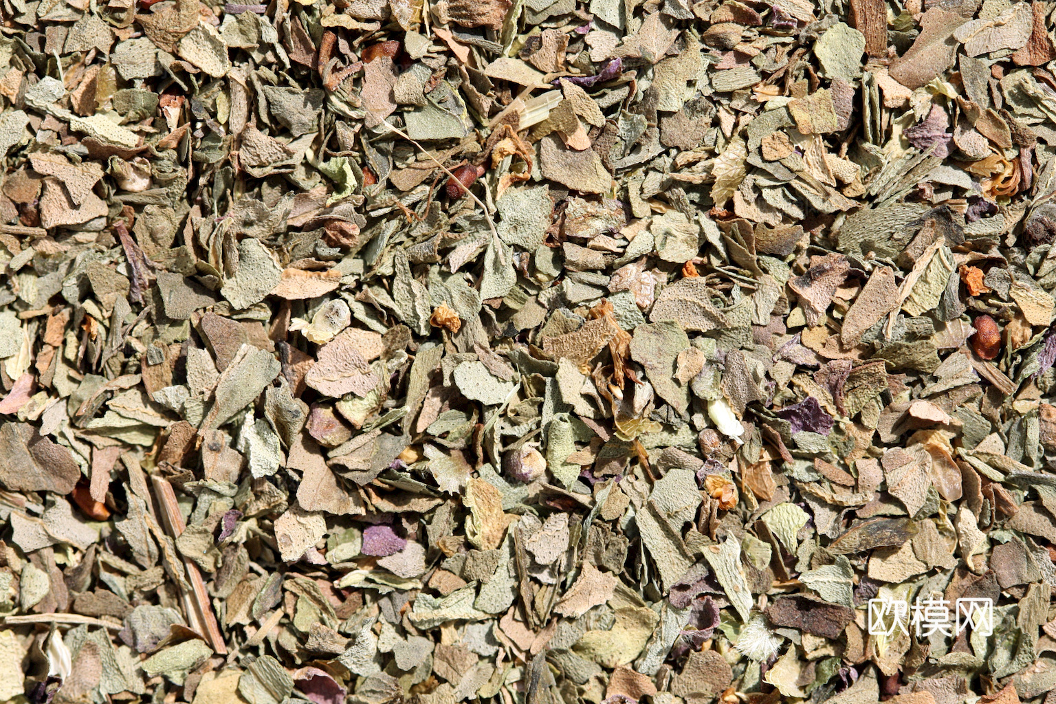 食物 蔬菜 香料 调料 玉米 包菜 辣椒