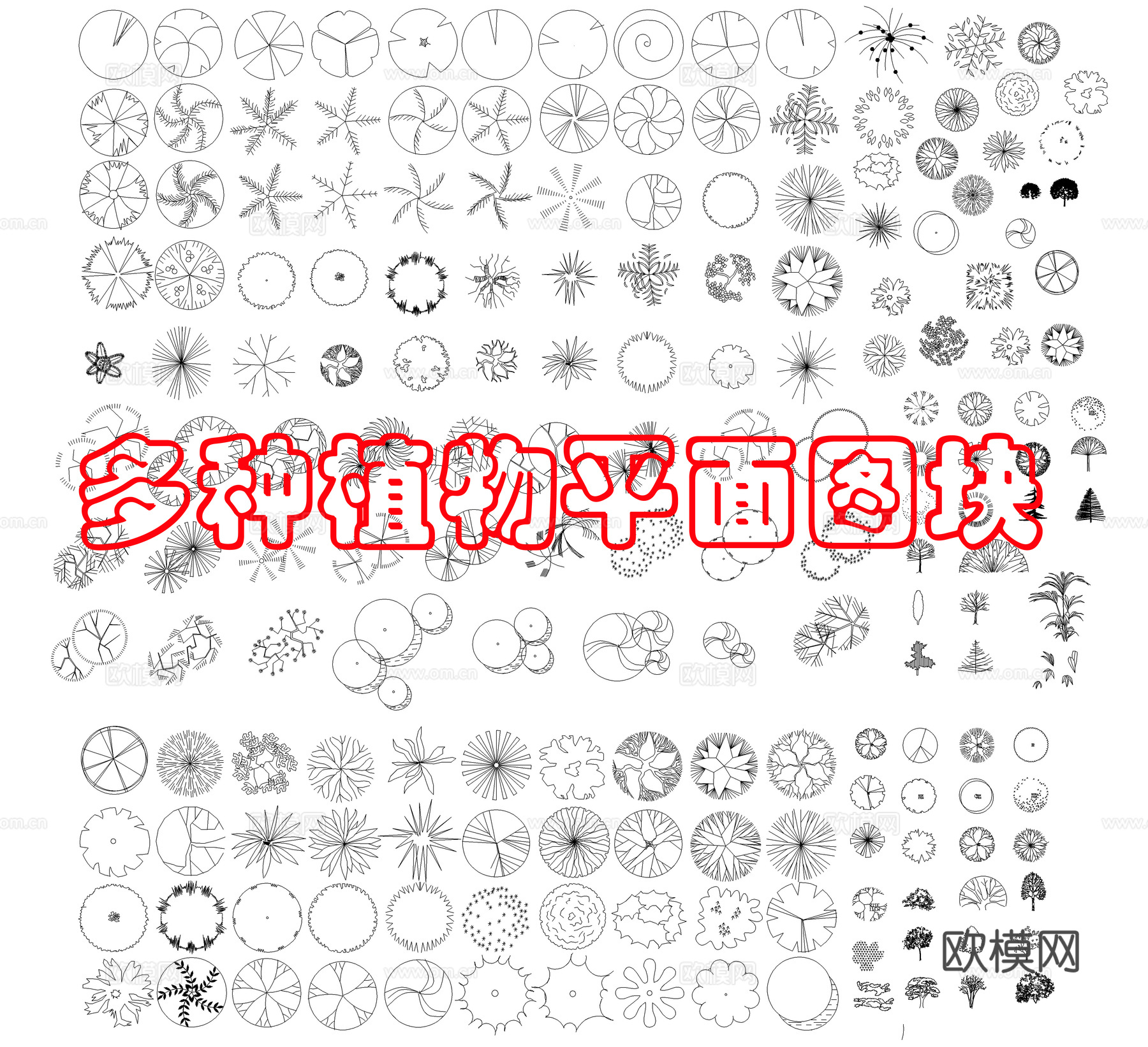 现代综合植物图库cad施工图