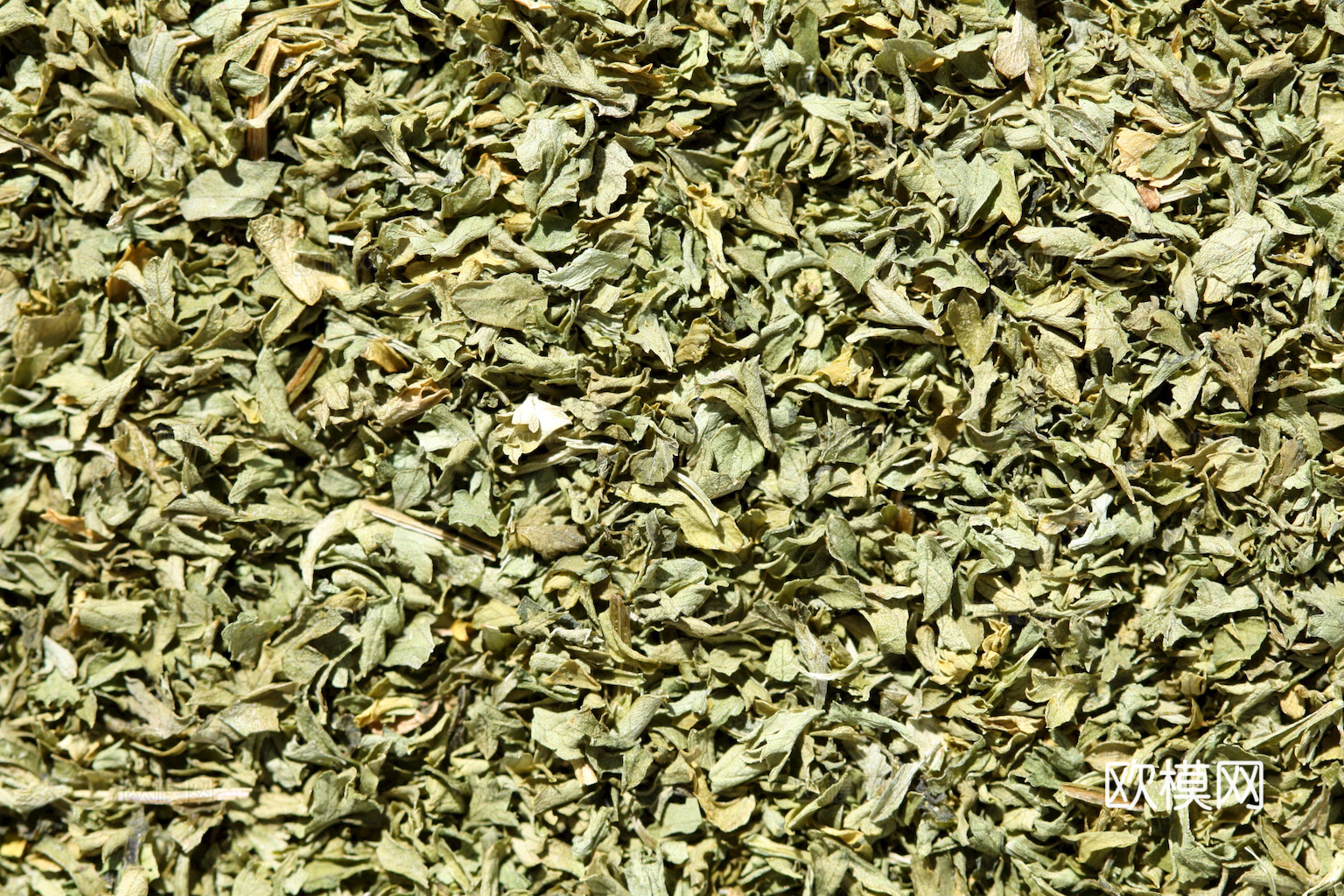 食物 蔬菜 香料 调料 玉米 包菜 辣椒