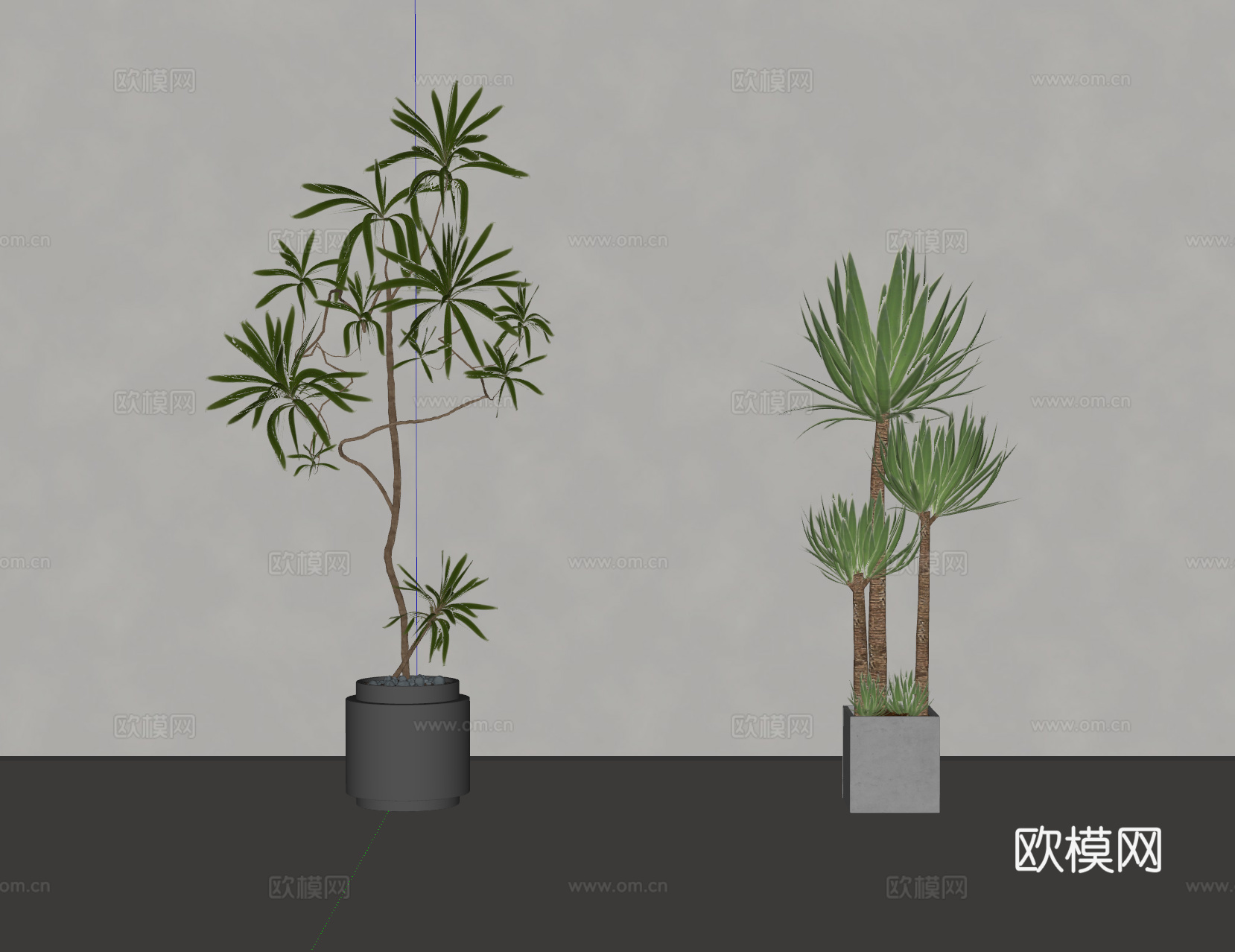 现代绿植盆栽 植物 盆景su模型